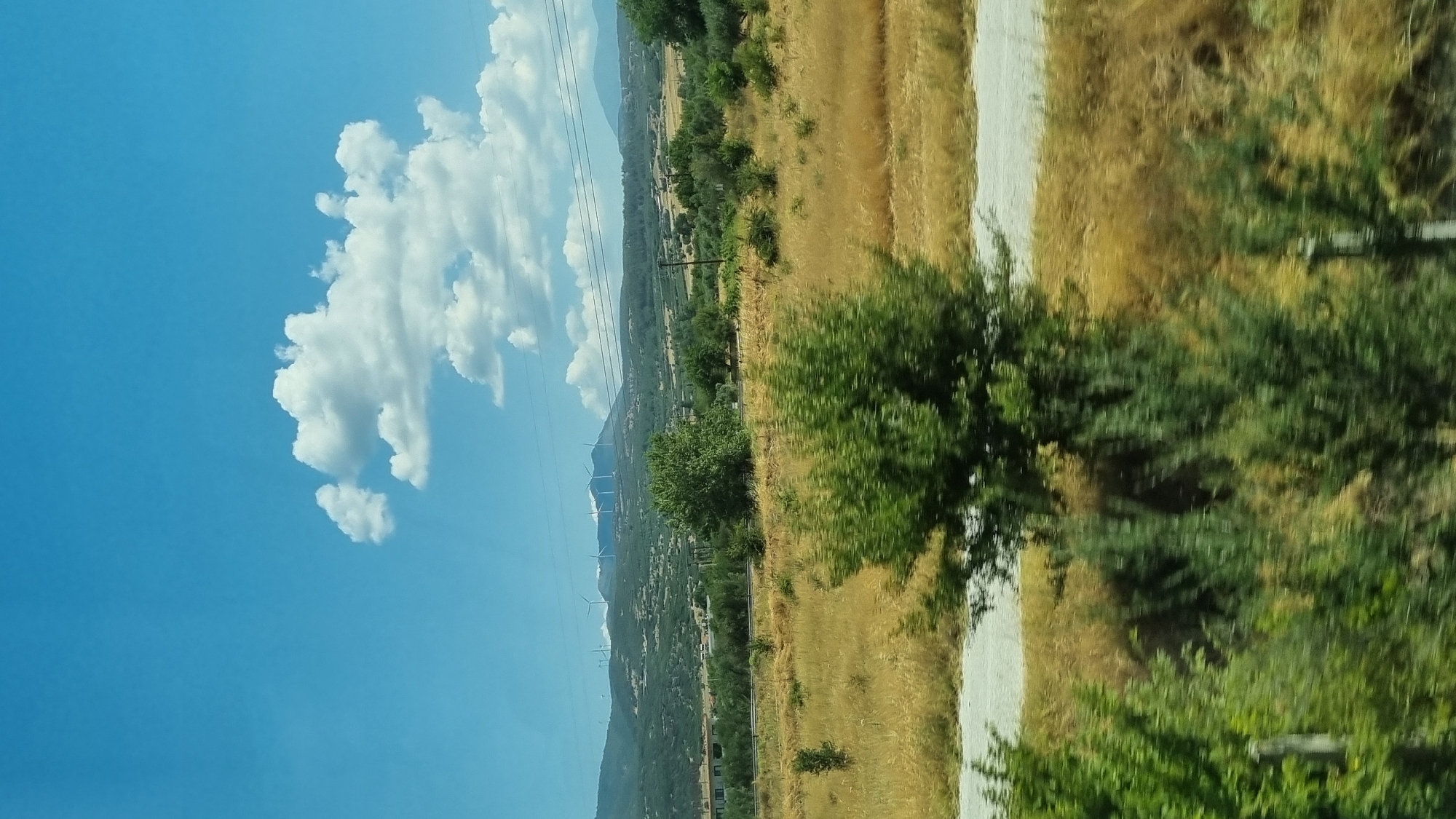 This is a photograph taken from a moving vehicle, likely a bus or car, as evidenced by the motion blur in the foreground. The scene depicts a rural landscape under a bright blue sky with scattered white clouds. In the middle ground, a dry, golden field stretches out, bisected by a light-colored dirt road. A medium-sized green tree stands in the middle of the field, slightly to the right of center. In the background, rolling hills are covered with greenery and sparse vegetation. Atop the highest hills in the far background, a cluster of white wind turbines are visible, suggesting renewable energy infrastructure. Power lines traverse the horizon, and some low-lying buildings can be seen on the slopes of the hills on the left. The foreground is dominated by blurred green foliage, suggesting the vehicle is passing through a wooded or vegetated area. The overall impression is one of a sunny day in a countryside setting, possibly near Neo Petritsi, Greece, known for its rolling hills and wind farms.