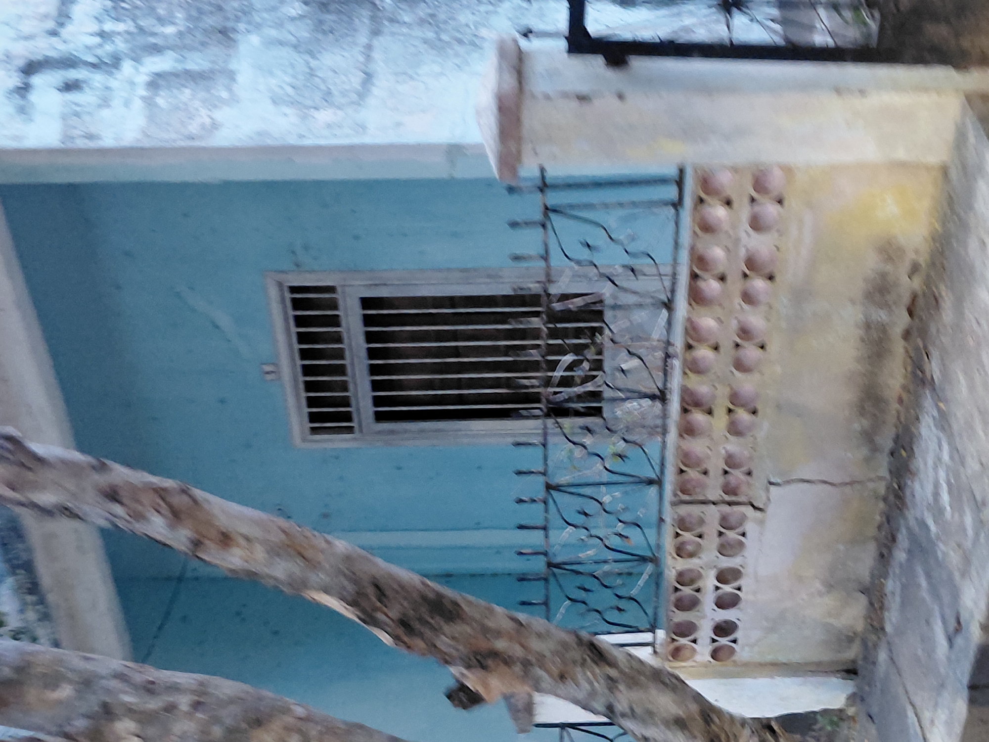 The image captures a partial view of a residential building in the city of Santa Ana, Venezuela. A large tree trunk, characterized by light brown and textured bark, diagonally traverses the foreground from the lower left to the upper right, partially obscuring the scene. The primary visible building wall is painted a faded light blue, showing signs of weathering, including minor cracks and dark speckling.
Centered on this blue wall is a window with a white frame and vertical security bars. Above the window frame, the house number "37" is legible. Below the window, a dark-colored wrought iron fence with ornamental scrollwork is affixed to a lower masonry wall. This lower wall features two horizontal rows of circular cutouts with reddish-brown interiors. The base of this wall is a weathered beige, exhibiting significant dirt and discoloration, and a prominent vertical crack is visible to the right of its center. To the far right, a light-colored, possibly concrete, pillar topped with a reddish-brown cap is present. The building wall to the right of this pillar displays a heavily weathered, textured, light-colored surface with substantial discoloration. The ground in the immediate foreground appears to be a worn concrete or paved surface with minor debris. No individuals, vehicles, or active subjects are present in the frame. The overall scene suggests a structure with visible signs of age and exposure to the elements.