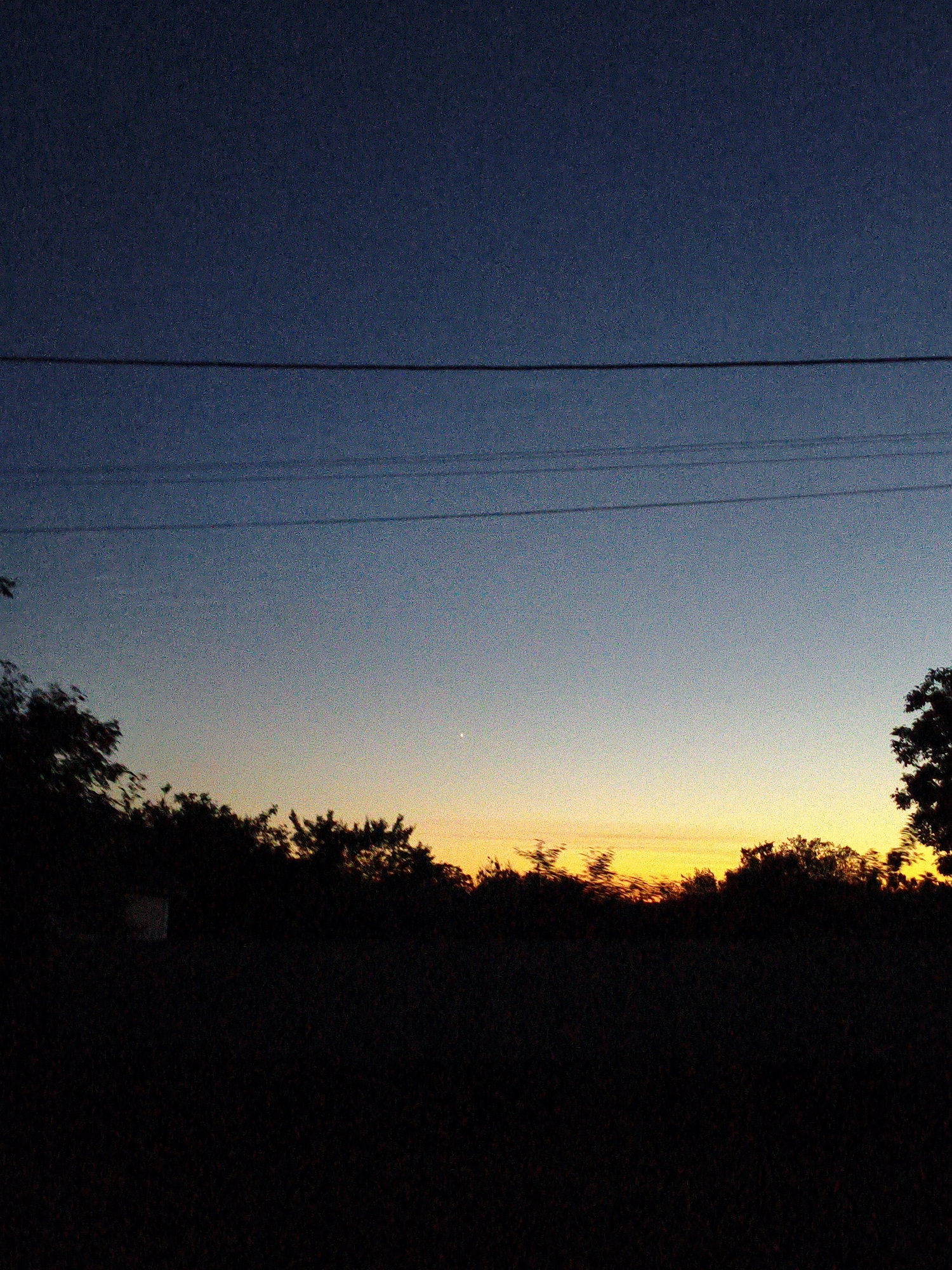 This media file depicts a natural outdoor scene at dusk. The primary subjects are a silhouetted treeline against a gradient sky that transitions from deep blue at the top to yellow and orange near the horizon, indicating sunset or sunrise. Multiple power lines are visible horizontally across the sky. The lower portion of the image is almost entirely black, suggesting a dark foreground of trees or landscape.
The time of day is clearly evening or early morning. The weather appears clear, with no visible clouds. There are no people or identifiable objects like buildings or vehicles, apart from the power lines. The overall mood is serene and natural, characteristic of twilight. The location cues provided are Ustyvytsia, Ukraine. There is no visible text in the image.