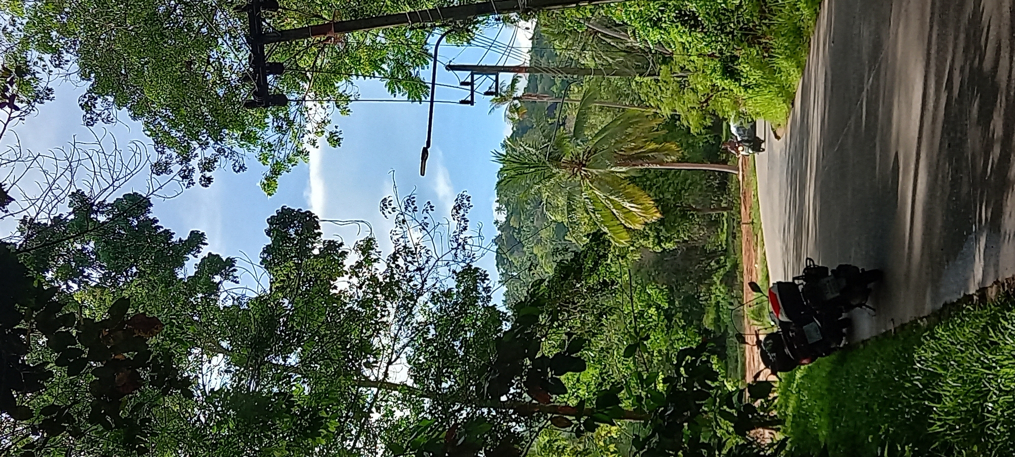 The image depicts a tropical scene in Baan Don Sai, Thailand. A paved road runs along the right side of the frame, with a motorcycle parked on the shoulder. On the road, a person is riding a motorcycle. Lush green vegetation, including trees and foliage, dominates the left side of the frame. In the background, a hill covered in trees is visible. The sky is blue with some wispy clouds. Utility poles and wires are visible amongst the trees. A coconut palm tree extends over the road.