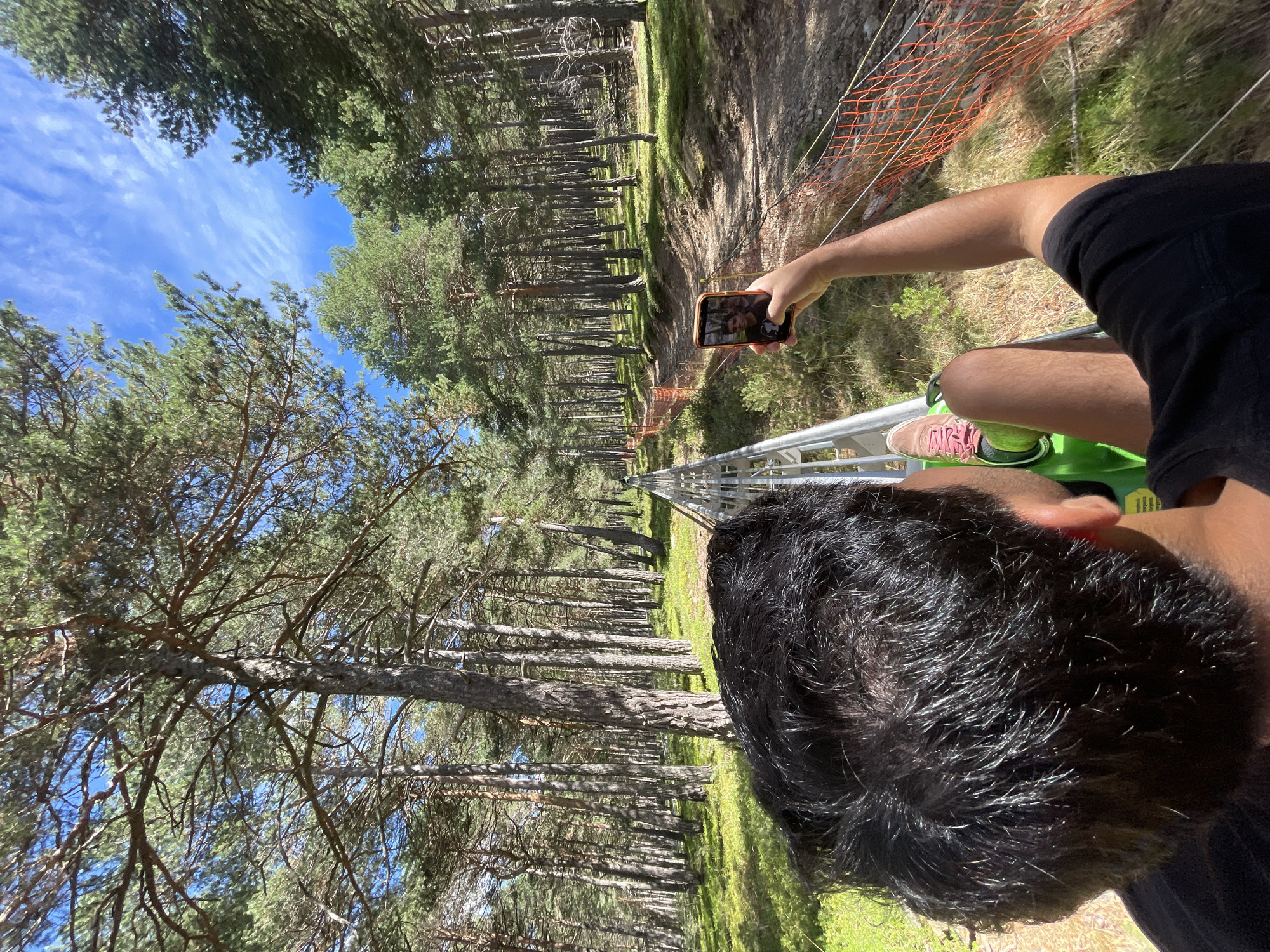 The image depicts a person riding a luge track through a pine forest in Juberri, Andorra. The viewpoint is from behind the rider, looking forward along the track. The rider, wearing a black t-shirt and pink-laced shoes, is holding up a smartphone to take a photo of the scenery. The luge track, made of metal rails, winds through tall pine trees with a bright blue sky and scattered white clouds overhead. An orange safety net is visible along the side of the track. The ground is covered in green grass and some dirt paths.