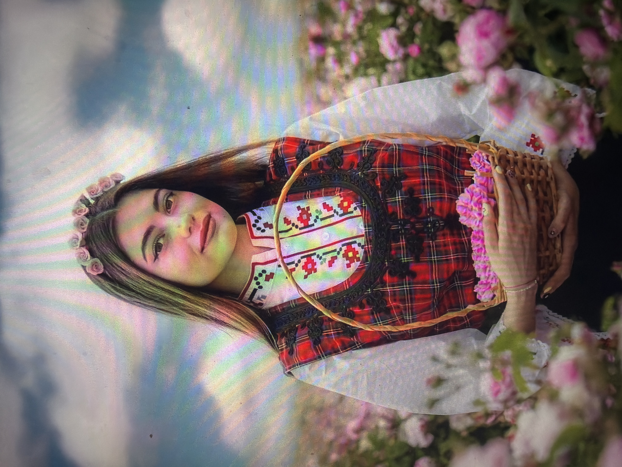 The image displays a young adult female positioned centrally in an outdoor rose field, purportedly located in Shumen, Bulgaria. She has long, dark-brown hair with lighter highlights, framing her face, and wears a floral headband composed of small, pink rose-like blossoms. Her facial features include defined eyebrows, dark eyeliner with a winged application, and pink lipstick. She exhibits a slight smile and direct gaze towards the viewer.
Her attire consists of a white long-sleeved blouse with a mandarin collar, adorned with traditional red, green, and black geometric embroidery along the placket and collar. Over this, she wears a sleeveless vest featuring a red and black tartan plaid pattern, trimmed with black braided embellishments around the neckline, armholes, and central opening.
She holds a light-brown wicker basket in both hands at waist level, filled with numerous vibrant pink rose blossoms. The background depicts a dense field of blooming pink roses, extending into the distance, with a blurred effect on the foreground roses. Above the rose field, a cloudy sky is visible. The image exhibits distinct vertical and horizontal scan lines, as well as chromatic aberration, indicative of being a photograph taken of a digital screen display.