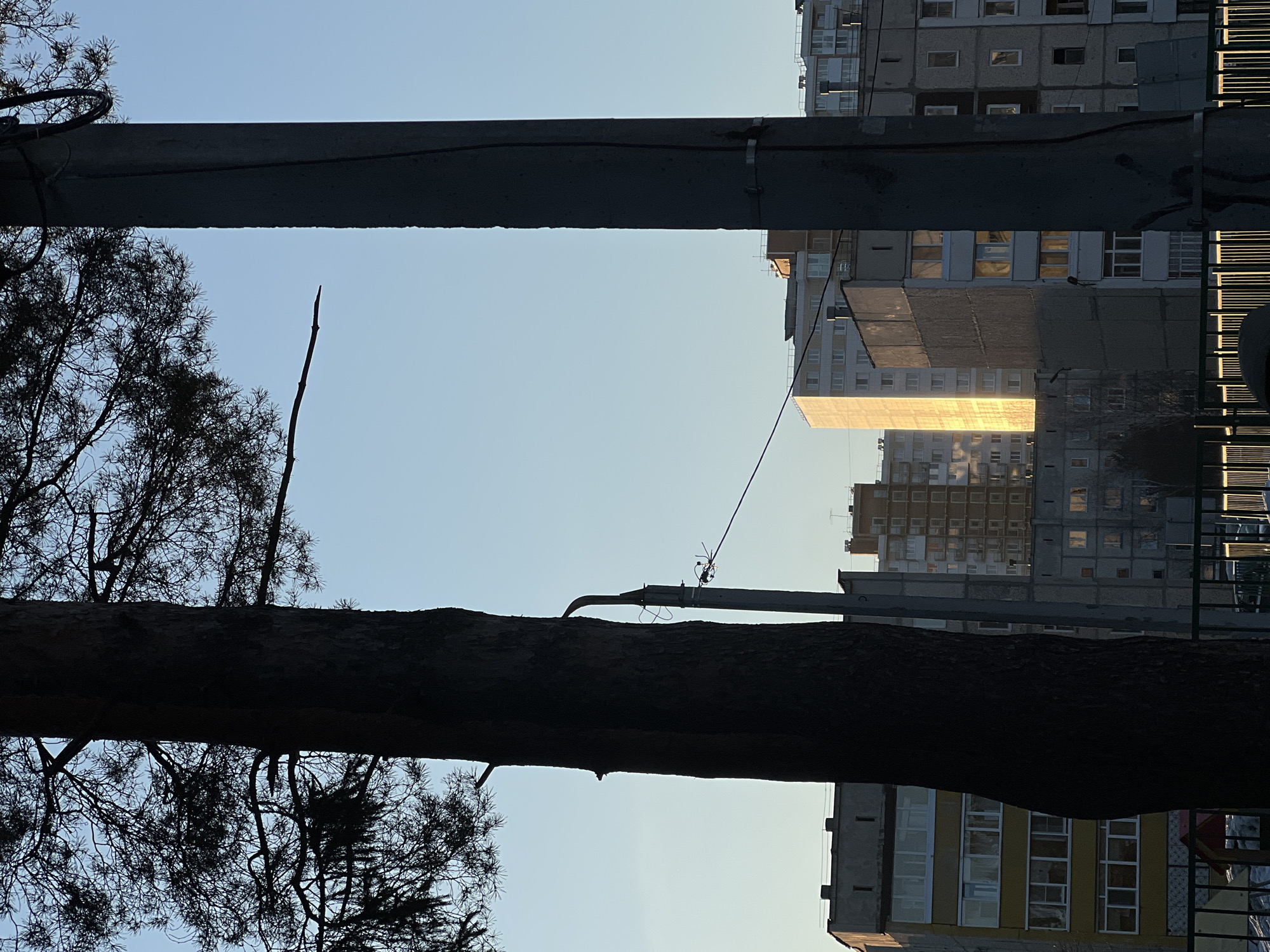 The image shows a low-angle view looking upwards, likely in the city of Berezniki, Russia. The scene is framed by a tree branch silhouette at the bottom and two concrete pillars on either side. The sky is visible in the background. Apartment buildings with multiple stories and windows can be seen between the pillars, some reflecting sunlight. A power line or wire stretches across the sky between a pole mounted on the tree branch and the buildings. The buildings have a weathered, Soviet-era aesthetic.