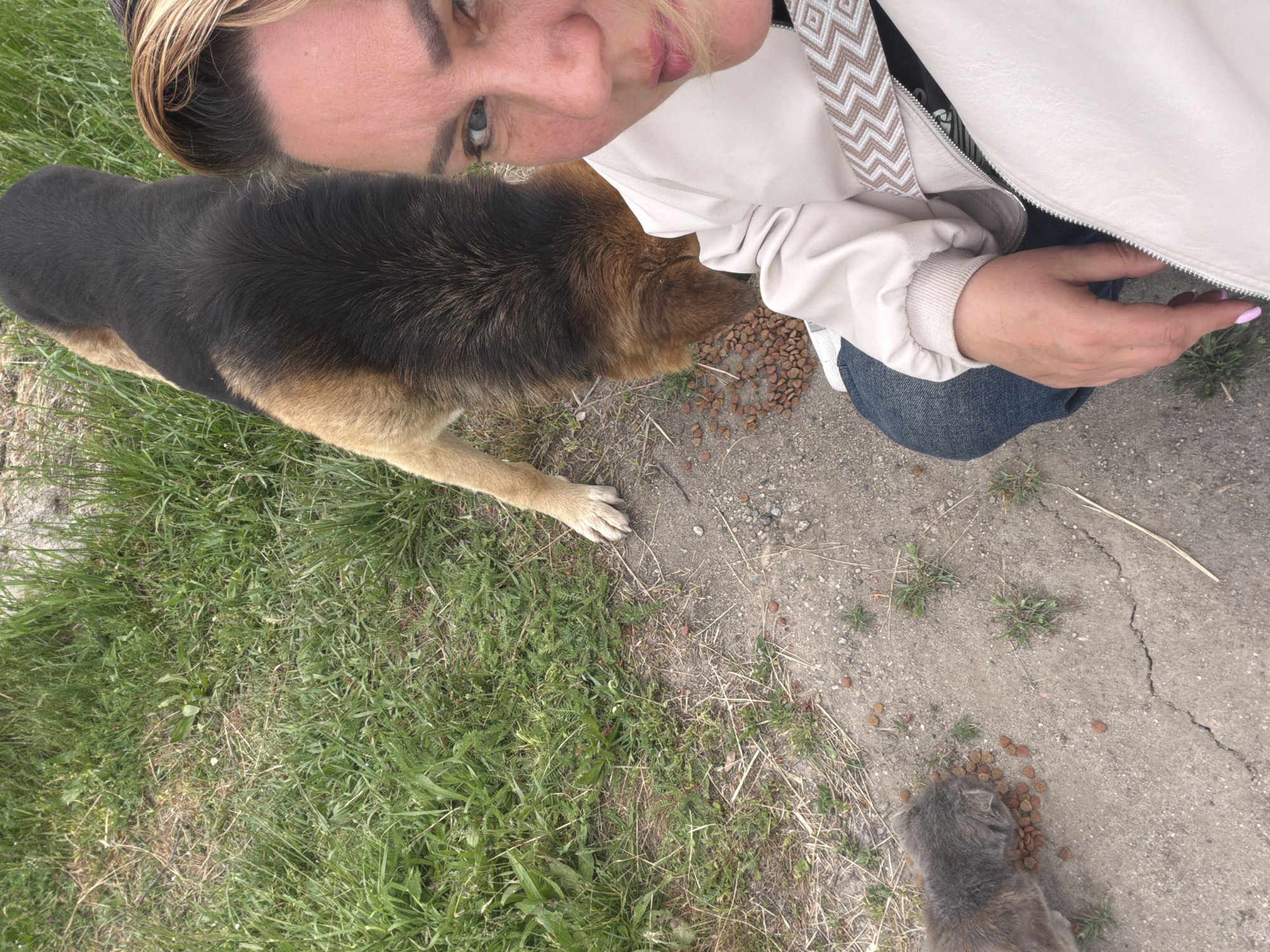 A medium-angle, outdoor shot captures a woman, a dog, and a cat in what appears to be Leningradskaya, Russia. The woman, partially visible at the top of the frame, has blonde hair and fair skin. She is wearing a light-colored jacket. To her left, a German Shepherd dog is eating kibble scattered on the ground. Below them, a gray cat is also eating kibble. The ground is a mix of grass and concrete. The lighting suggests it is daytime.
