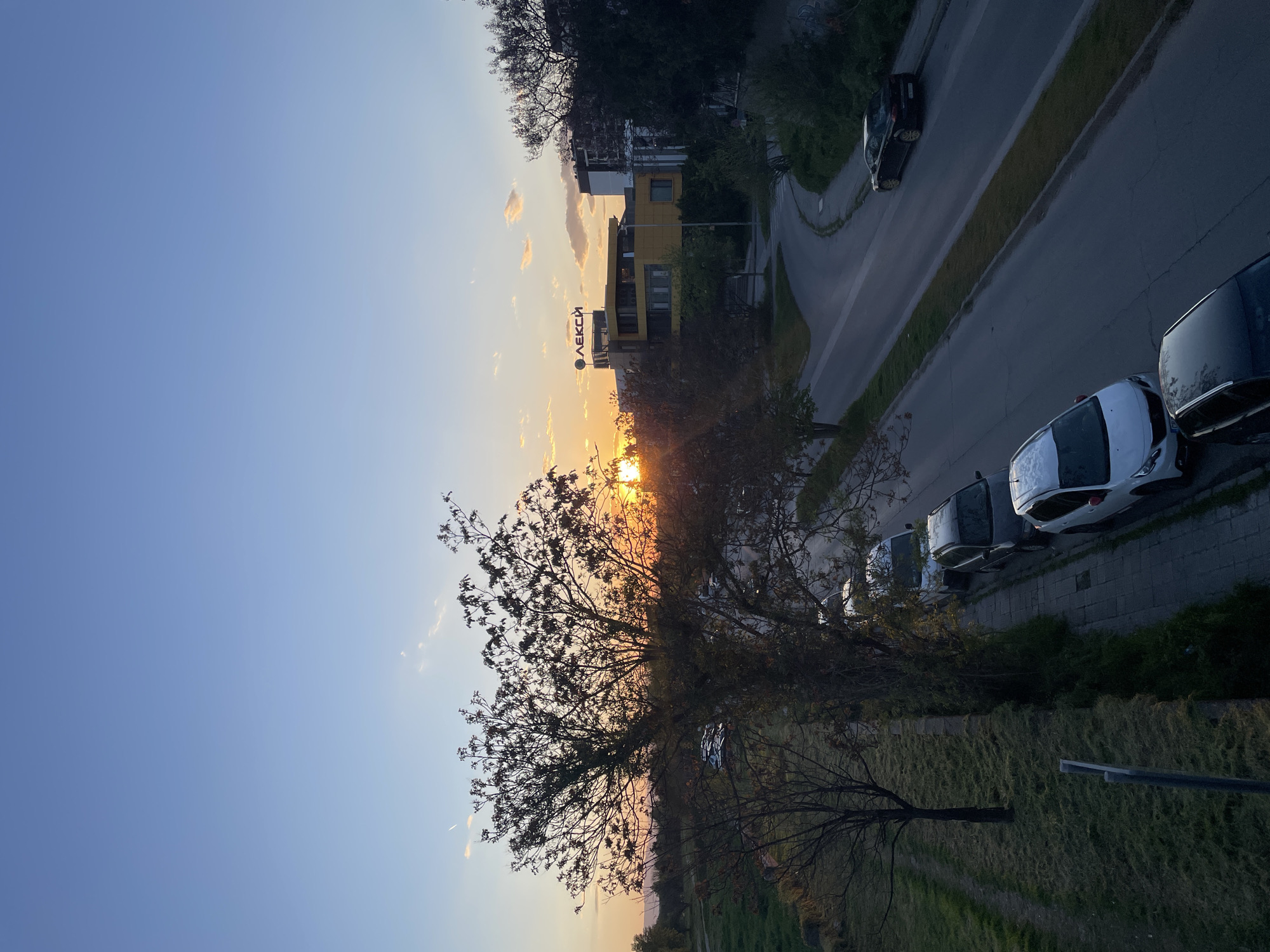 The image captures a sunset scene over an urban or suburban landscape in Plovdiv, Bulgaria, with the sun low on the horizon, casting warm, orange-yellow light. The sky is largely clear, displaying a gradient from deep blue overhead to lighter blue and soft orange hues near the horizon, dotted with a few scattered clouds.
In the mid-ground, a prominent tree with dense foliage is silhouetted against the bright setting sun, which is partially obscured by its branches and nearby structures. To the right of this tree, a multi-story building with yellow and white facades is visible, featuring a red sign with the Cyrillic text "ЛЕКСИ" (LEKSI). Other buildings can be discerned in the background.
A paved road or street runs through the right side of the frame, curving slightly. It is bordered by a sidewalk and grassy areas. Several cars are parked along the street, including light-colored vehicles (white/silver) and at least one darker car further down the road. More trees, some with bare branches, and patches of grass and vegetation are spread across the foreground and mid-ground. The scene conveys a tranquil atmosphere at dusk in a residential or commercial area.