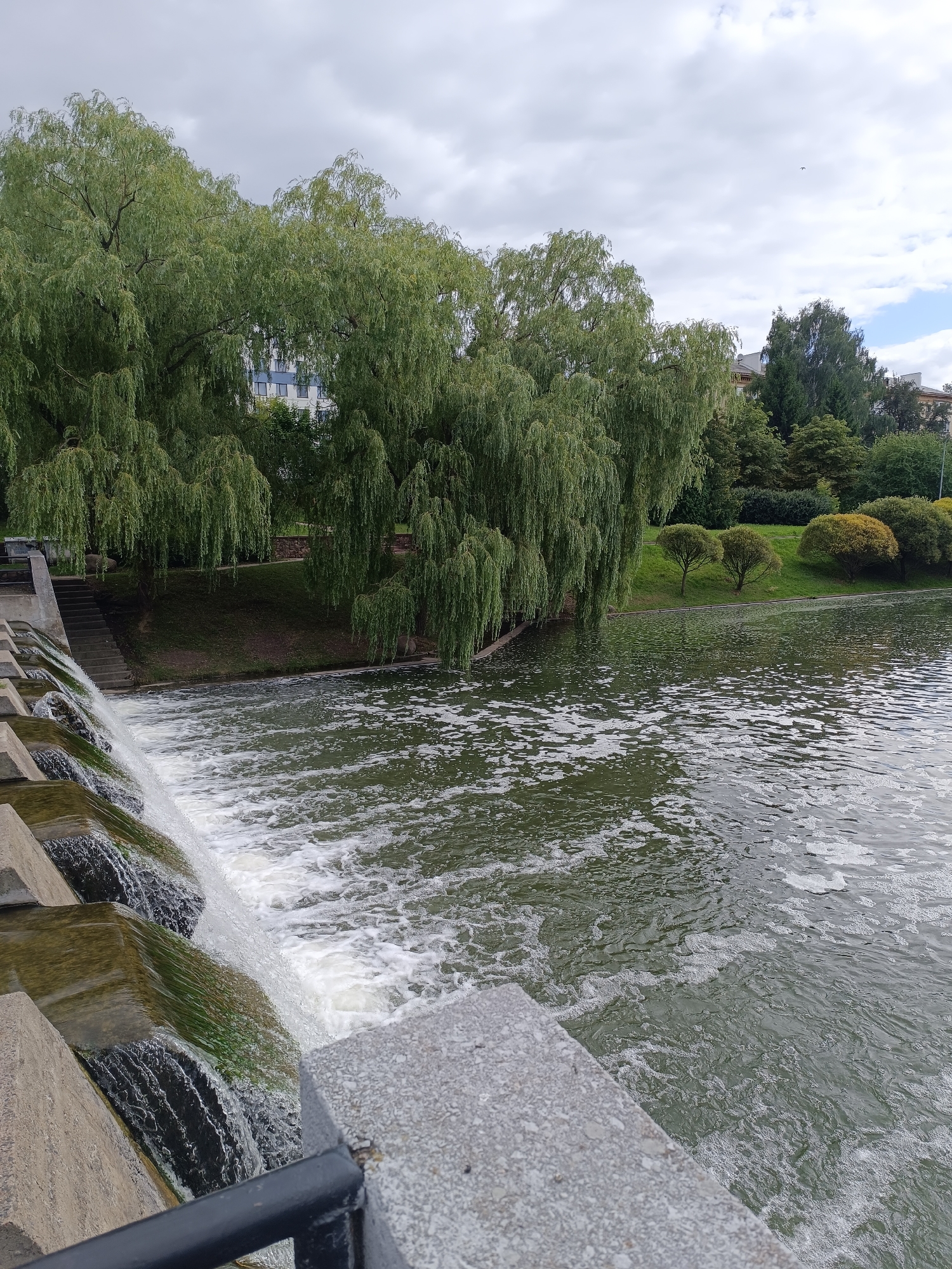 The image depicts a cascading waterfall on the Svislach River in Minsk, Belarus. Lush green weeping willow trees dominate the left side of the frame, their branches trailing downwards towards the water. In the background, apartment buildings are visible behind the trees, suggesting an urban setting. The river itself is a murky green, with white foam and ripples indicating the flow over the dam. The sky is overcast with clouds, casting a soft, diffused light over the scene. The overall atmosphere is serene and natural, despite the presence of urban structures.