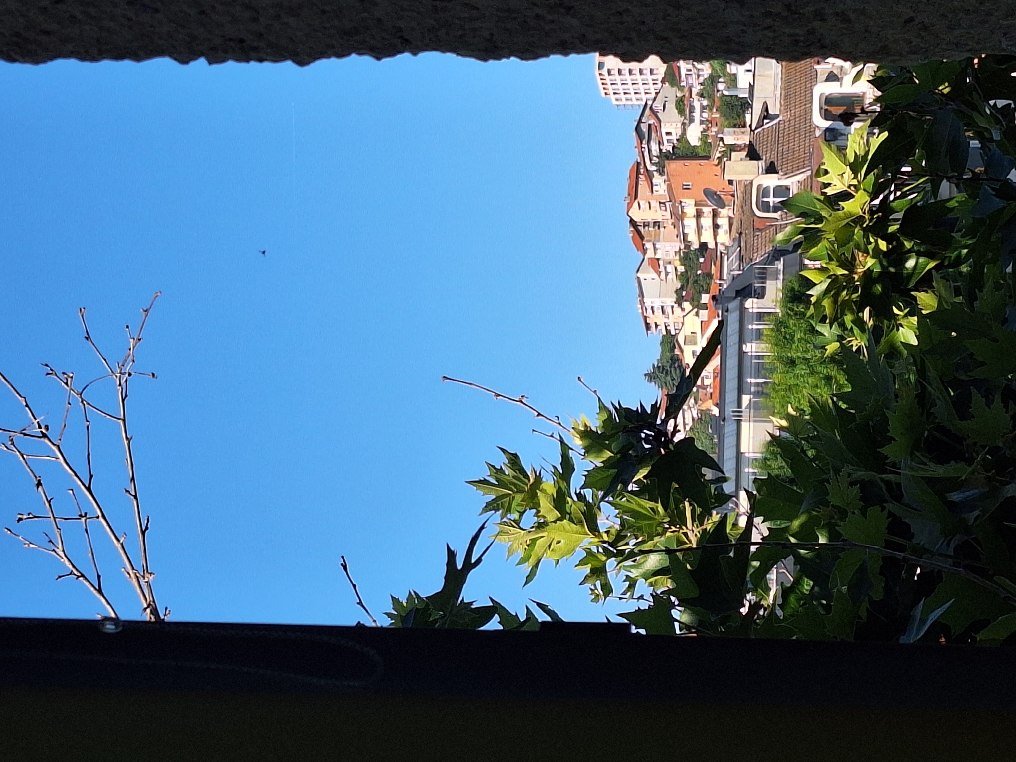 An outdoor, eye-level, medium shot captures a view through a dark, vertical frame on the left and a textured, light-colored, vertical stone frame on the right. The scene is dominated by a clear, bright blue sky. In the upper portion of the sky, a small, dark, insect-like object is visible.
In the mid-ground, a cluster of trees with green leaves and bare branches partially obscures a cityscape. The city features buildings with terracotta roofs and light-colored facades, built on a hillside. Prominent among the buildings are several multi-story residential structures.
The foreground is filled with large, green leaves of a deciduous tree, with bare branches extending upwards into the sky. The overall impression is a sunny day in a city, with vegetation framing a view of the urban landscape. The specific location within Varna, Bulgaria, is not discernible from the image itself.