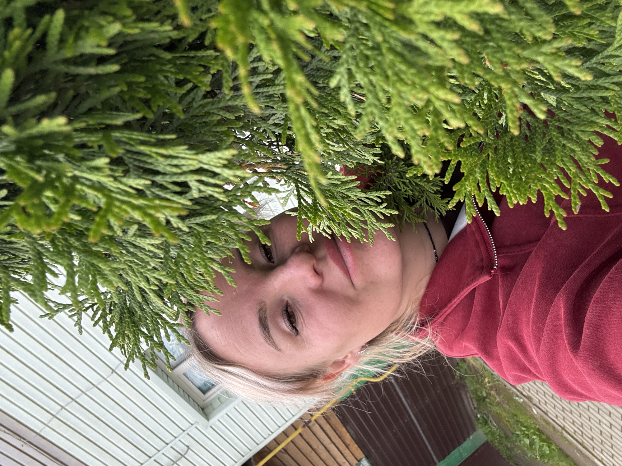 A woman with blonde hair and light skin is partially obscured by a dense, green conifer tree. She is looking at the camera with a slight smile, her face illuminated by natural light. She is wearing a red hooded sweatshirt and a black beaded necklace. In the background, a light-colored building with horizontal siding and a window is visible, along with wooden fencing and some green grass. The scene appears to be outdoors, possibly in a residential area of Chastyye, Russia, given the architectural style of the building and the presence of a conifer tree.