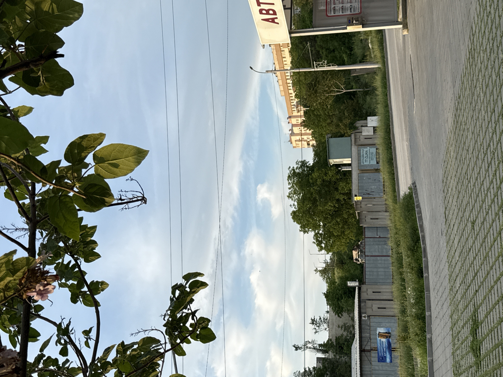 The image shows a view on a street scene in Pleven, Bulgaria. A tree with green leaves is in the foreground on the left. The sky is blue with streaks of clouds. Overhead power lines run across the sky. On the right, there is a sidewalk made of interlocking concrete pavers with grass growing in between. A street runs alongside the sidewalk. Along the street there are several buildings and trees. A sign with the word "АВТ" is visible at the top of the image.