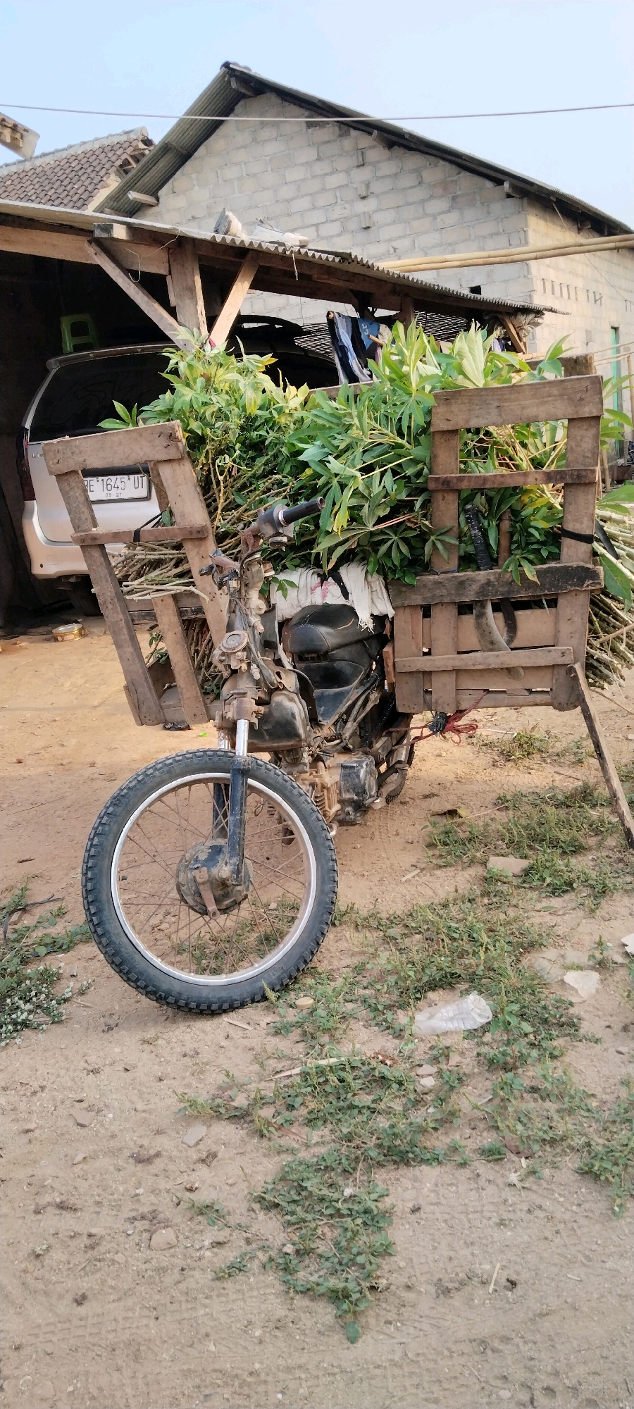 In Tanjung Ratu Ilir, Indonesia, a modified motorcycle is parked on a dirt ground covered with sparse vegetation. The motorcycle has a wooden cargo rack attached to its rear, overflowing with green leafy branches and some thicker stalks. A piece of white fabric is visible tucked into the cargo area. The motorcycle's front wheel and part of its engine are also visible. In the background, a silver car is partially obscured by the motorcycle and the vegetation. Beyond the car, a rustic structure with a corrugated metal roof and brick walls is present. Clothes are seen hanging on a line near this structure. The sky above is clear and pale.