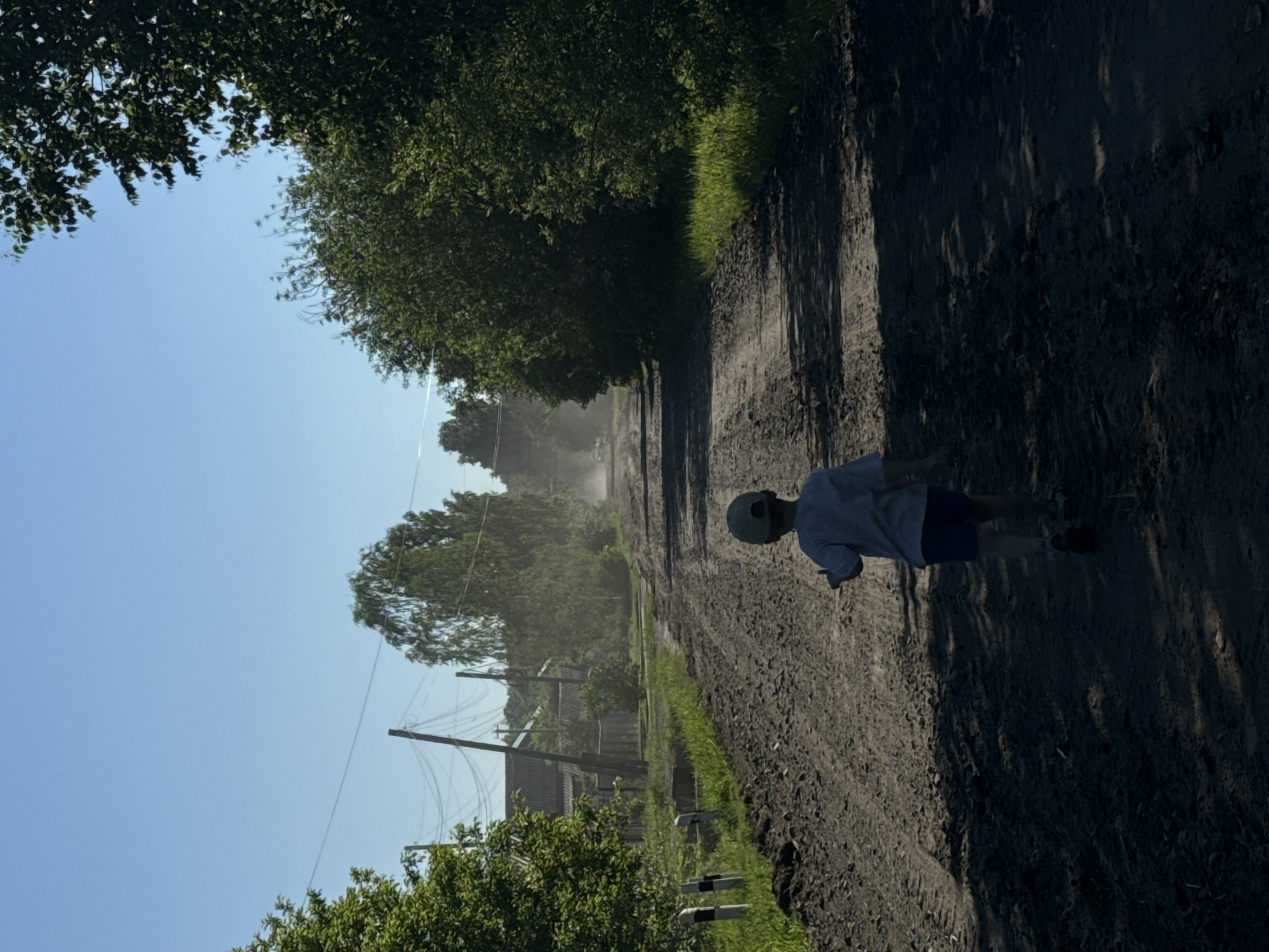 A boy wearing a blue t-shirt and dark shorts, with a baseball cap on his head, walks away from the camera on a dirt road. The road is in a rural setting, with trees lining both sides and houses visible in the distance on the left. Utility poles and wires are also present along the road. The sky is clear and blue. There is dust kicked up on the road in the distance, suggesting a vehicle may have recently passed. The overall scene depicts a sunny day in a village.