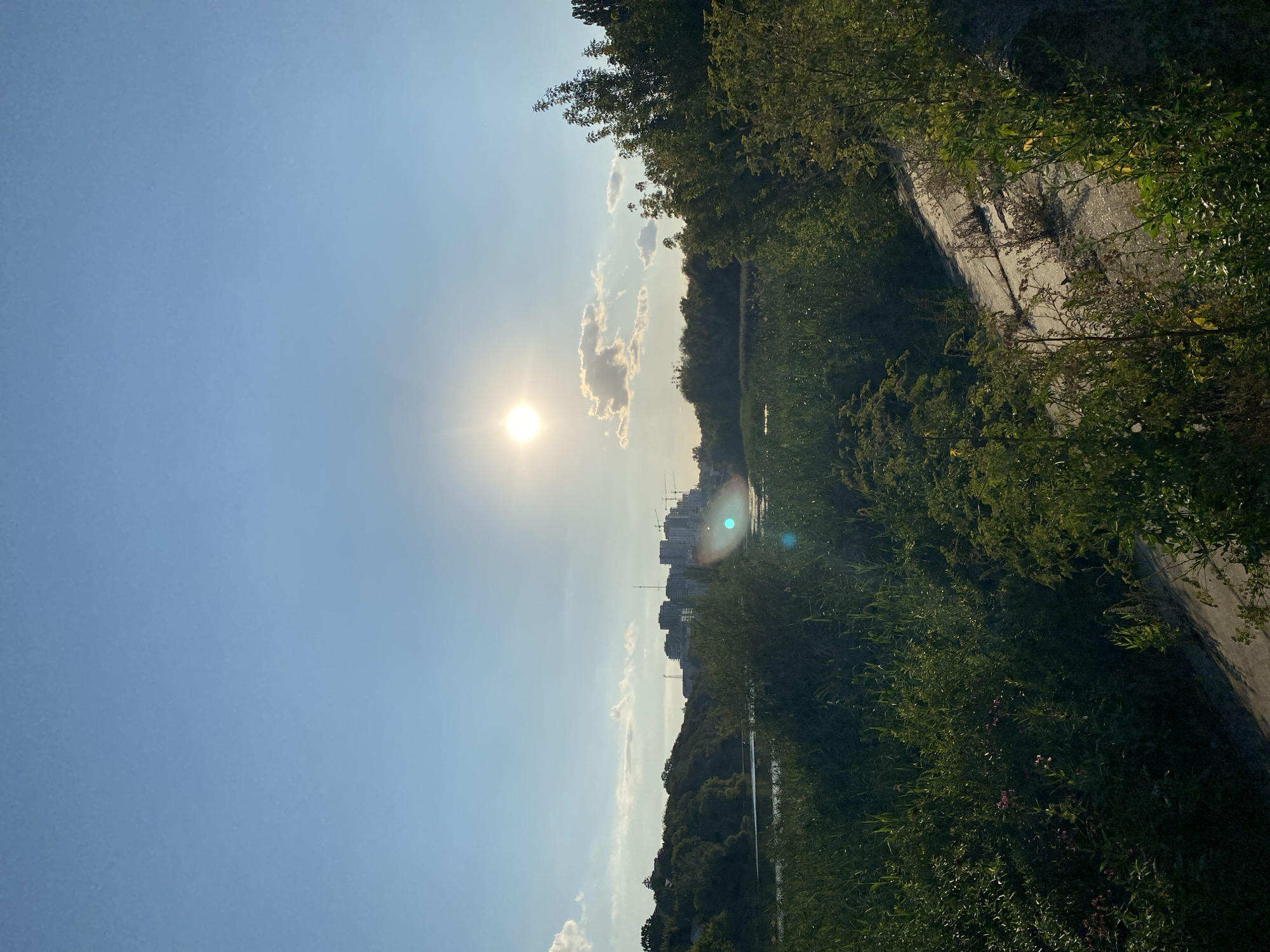 The image depicts a serene natural landscape with urban elements visible in the distance, likely taken during daylight hours under a clear blue sky with scattered clouds. The sun is prominent, casting a bright light and creating lens flare effects. In the foreground, lush green vegetation, including tall grass and bushes, dominates the scene. A concrete path or embankment runs diagonally from the lower right corner into the vegetation. Beyond the immediate foreground, a body of water, possibly a river or lake, is visible, bordered by more trees. In the mid-ground and background, a cluster of modern apartment buildings and construction cranes suggest an urban environment. Based on the visual cues, the location is likely the area near the Roshen Dam or the surrounding embankment in Vinnytsia, Ukraine, a popular spot offering views of the Southern Bug river and the city skyline. There are no people or animals visible in the frame.