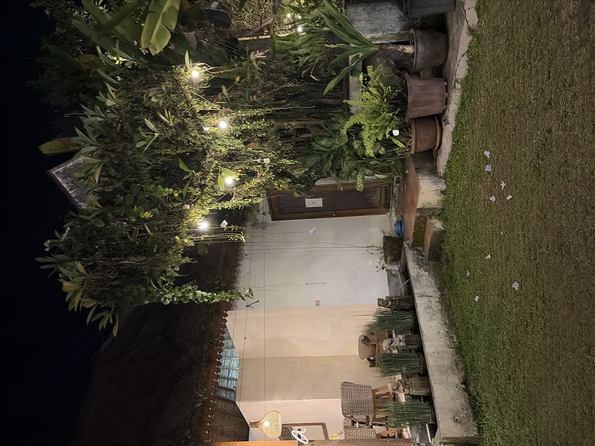 The image depicts a tranquil outdoor scene at night, likely a courtyard or garden area in the Ubud District, Indonesia, characterized by its lush vegetation and rustic architectural elements. In the foreground, a neatly mowed lawn is scattered with a few fallen purple flowers. Behind the lawn, a raised planter box runs horizontally, containing several potted plants, most notably tall, slender green stalks. Nestled amongst these plants are small, dark-colored figurines, adding a decorative touch.
To the right of the planter box, a concrete pathway leads up to a doorway. The pathway is flanked by a series of potted plants, including a large fern in a reddish-brown pot and a taller, spikier plant in a dark pot. The doorway is made of dark wood and appears to be closed. The wall behind the plants and doorway is a plain, light-colored plaster.
Above the planter box and to the left, a covered patio area is visible. A thatched roof, supported by a wooden structure with intricate carvings, extends over a seating area. A woven wicker lampshade hangs from the ceiling of the patio, casting a warm glow. Two wicker chairs and a small table are present, suggesting a space for relaxation.
Dominating the upper portion of the image is a dense wall of greenery, composed of various hanging plants and larger leafy foliage. Small, globe-shaped lights are strung through the branches, illuminating the foliage and creating a magical ambiance. The overall impression is one of a serene, tropical setting, enhanced by the soft nighttime lighting.