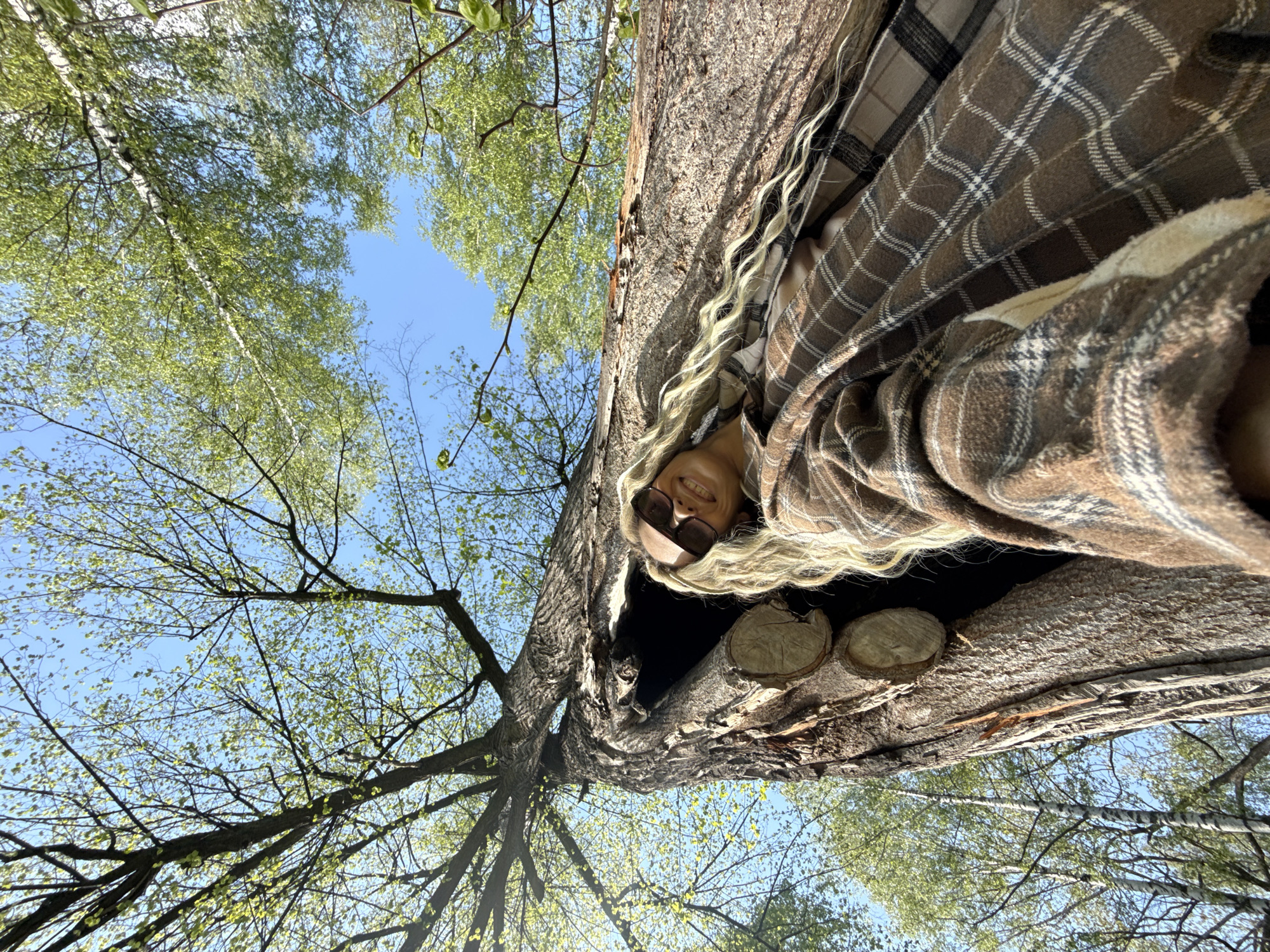 A low-angle shot shows a woman with blonde hair wearing sunglasses and a brown plaid shirt lying inside the hollow of a large, fallen tree trunk. The tree is situated outdoors, with branches and green leaves extending upwards into a blue sky. Two circular logs are visible inside the tree trunk, next to the woman. The image was taken in the city of Rusanovo, Russia.
