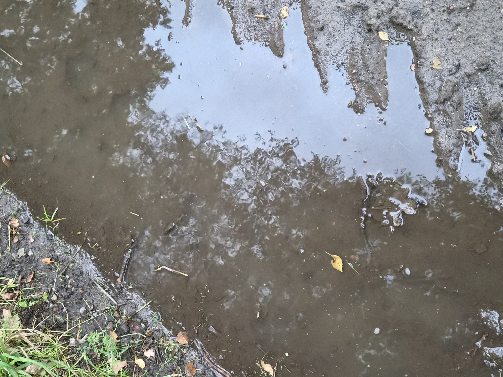 The image depicts a muddy puddle with reflections of trees and the sky. The ground surrounding the puddle is composed of dirt, grass, and small stones. Scattered leaves, twigs, and small pieces of debris are visible on the wet ground and within the puddle. The overall scene suggests an outdoor environment, possibly after rainfall. The location is the city of Schiffdorf, Germany.