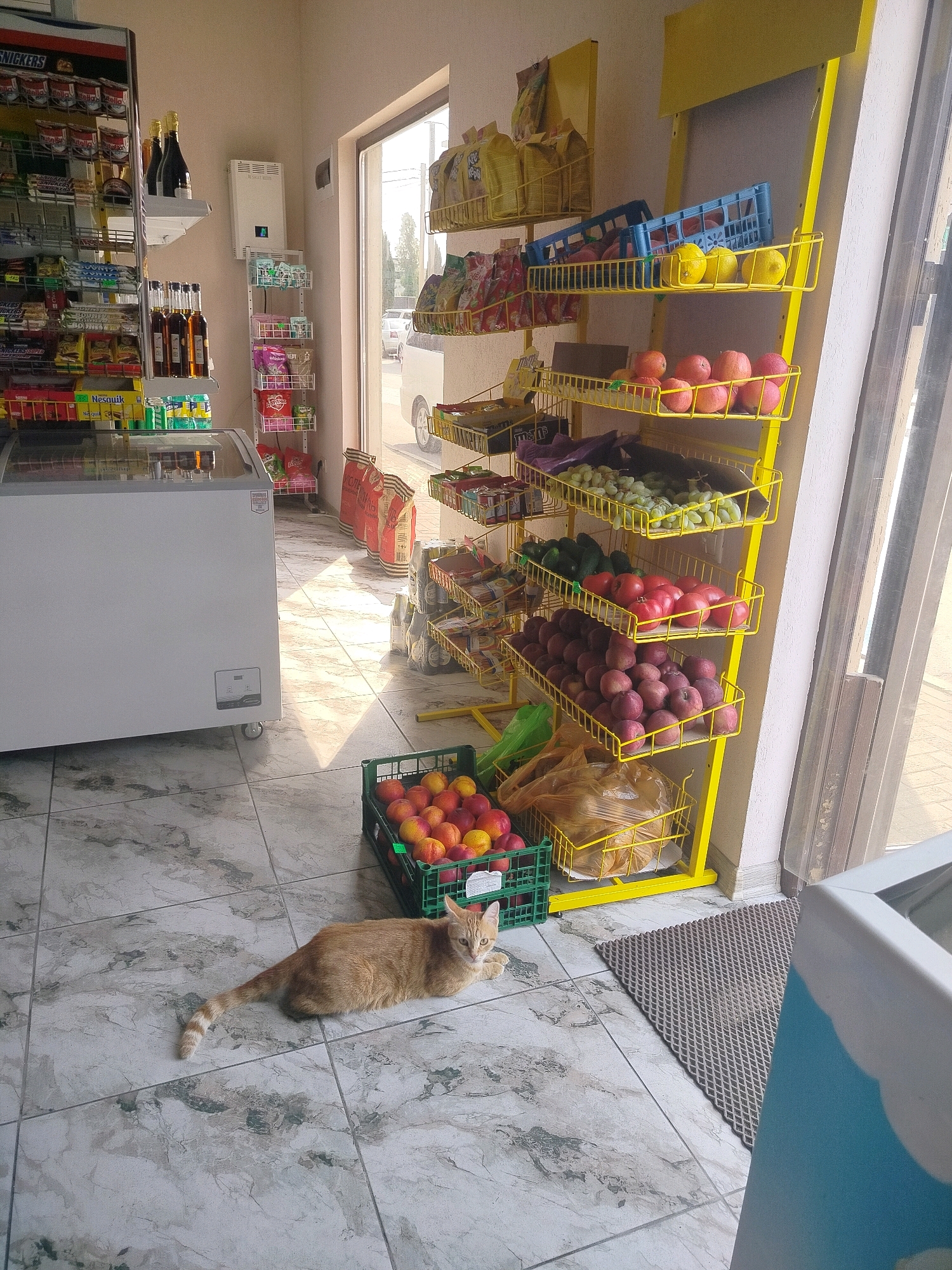 A ginger cat is lying on a tiled floor in front of shelves stocked with goods in what appears to be a small shop. The shelves on the left are filled with packaged snacks and drinks, including Snickers bars. A large white freezer is also visible on the left. To the right, a yellow display rack holds various fruits and vegetables, such as apples, peaches, tomatoes, cucumbers, and grapes. Bags of what appear to be flour or grain are stacked near the display rack. In the background, a window looks out onto a street scene with trees and passing vehicles, suggesting an urban or semi-urban environment. The lighting indicates it is daytime, with sunlight streaming into the shop and casting shadows on the floor. The location is Gagra, Abkhazia.
