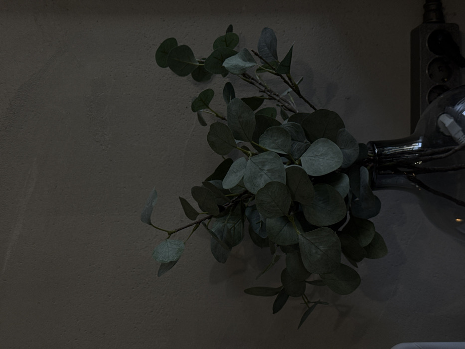 A close-up depicts green, round-leaved eucalyptus sprigs arranged around the base of a large, clear light bulb. The bulb is connected to a gray, multi-outlet power strip. The background is a textured gray wall. The image is dimly lit, with shadows emphasizing the textures of the leaves and wall.