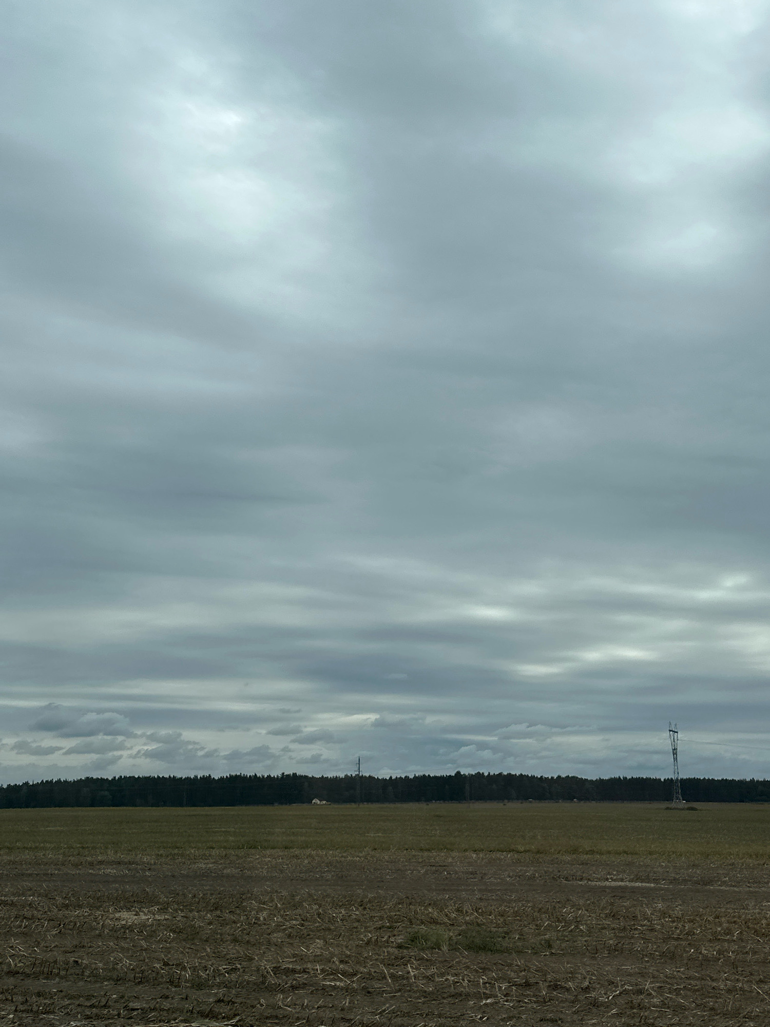 The image depicts an overcast, rural landscape. In the foreground, a dry, plowed field stretches across the frame, with remnants of stubble visible. A treeline of dark green coniferous trees forms a horizontal boundary in the middle ground, separating the field from the sky. Beyond the treeline, a single, tall, metallic tower, possibly a radio or power pylon, stands to the right of the frame, its angular structure contrasting with the natural elements. Faint outlines of distant buildings or structures are barely discernible amongst the trees. The sky is dominated by a thick layer of grey clouds, with subtle variations in tone suggesting depth and texture. The scene is devoid of any human presence or activity, conveying a sense of stillness and isolation. The location is identified as Чыркавіцкі сельскі Савет, Belarus.