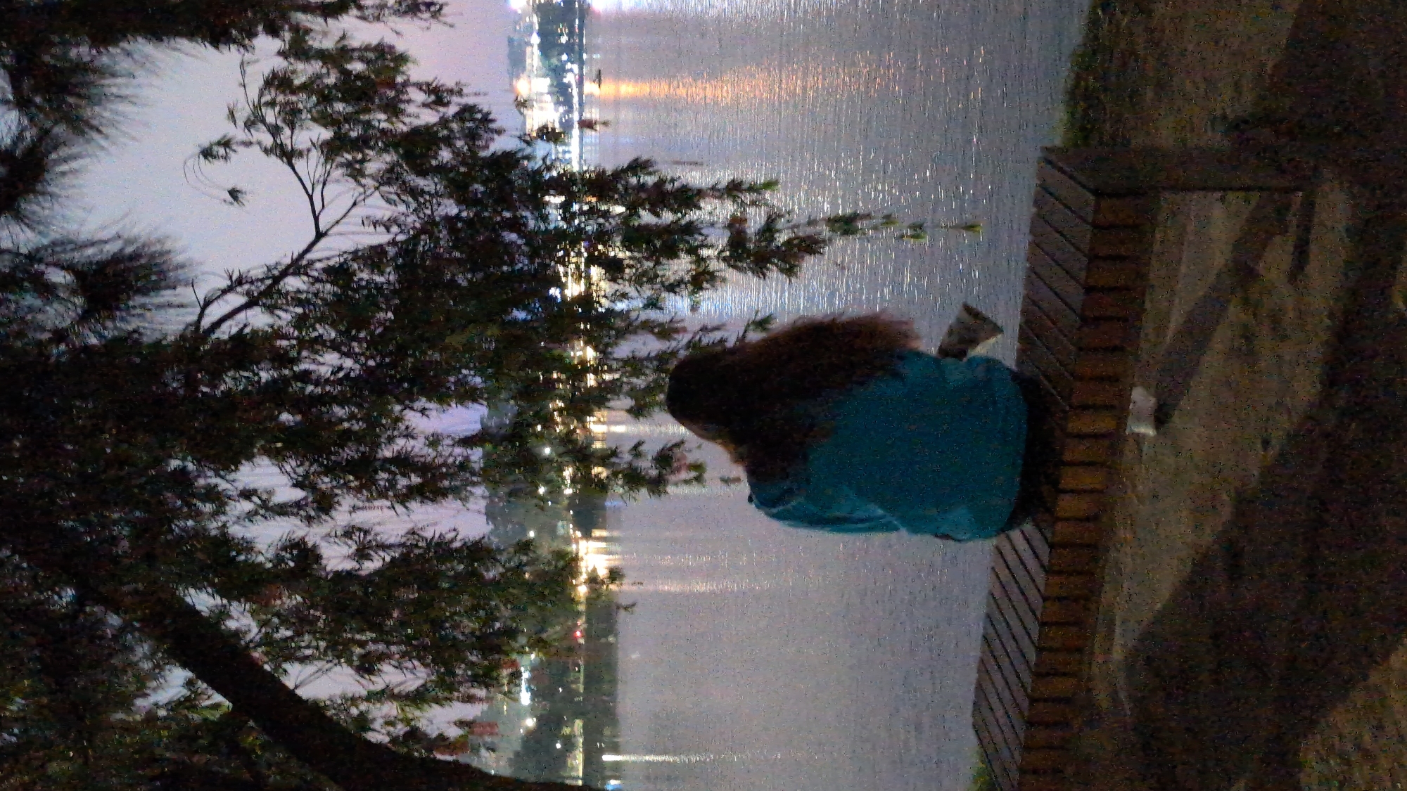 A young woman in a blue jacket sits on a wooden bench overlooking a body of water at night. Reflected lights from a city are visible across the water. A tree is partially obscuring the view. The scene is likely in Da Lat, Vietnam, based on the location characteristics.