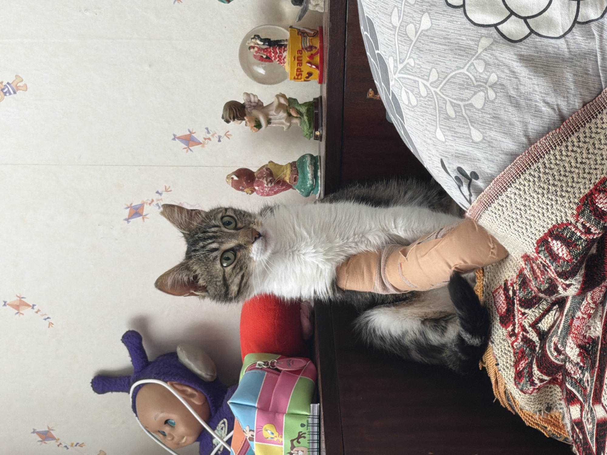 A medium, eye-level shot depicts a tabby cat with a bandaged leg resting on a dark wooden surface next to a bed with a patterned pillow and throw. The cat is facing the camera. The background includes a wall with a patterned wallpaper, a purple Teletubby toy, a colorful zippered pouch, and a shelf with decorative figurines. The location cannot be identified as Pazardzhik, Bulgaria.
