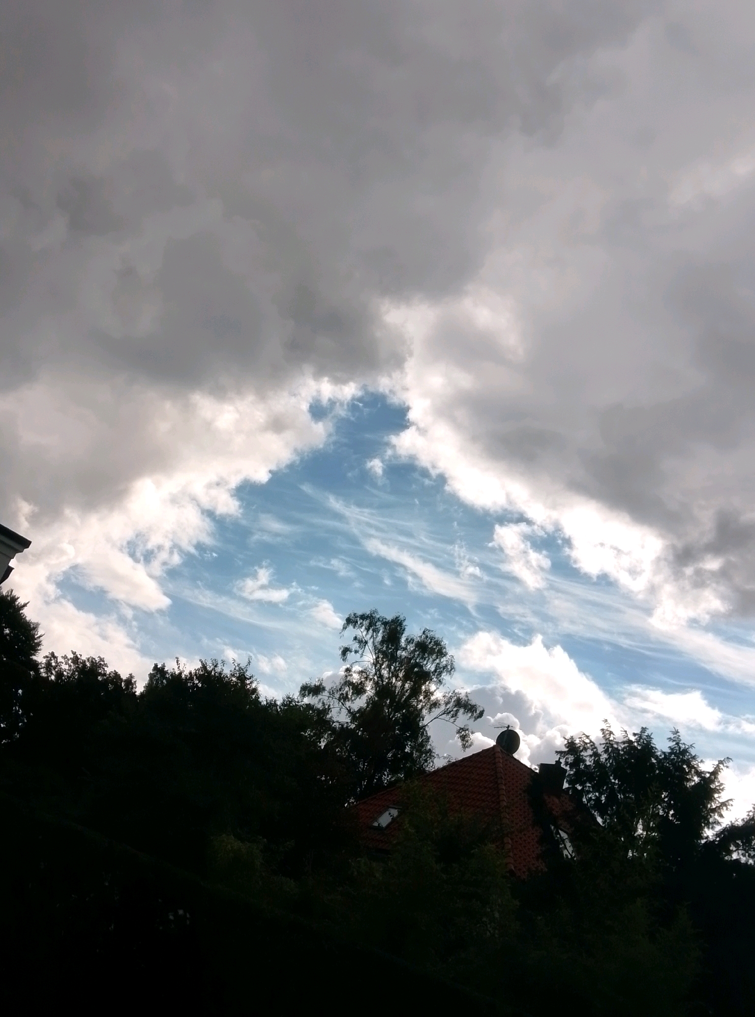 A low-angle, full shot shows a dark canopy of trees against a dramatic sky. The clouds are a mix of heavy, dark gray formations overhead and lighter, wispy white clouds against a bright blue sky in the distance. The lower part of the image is dominated by dense, dark green foliage, obscuring most of the ground. Peeking through the trees on the right side of the frame is the orange-tiled roof of a house, topped with a dark, round satellite dish. The scene appears to be set in a residential area, possibly with some elevation, in Hamburg, Germany. The lighting suggests it could be late afternoon or early evening, with the sun fighting to break through the overcast sky. No people or animals are visible.
