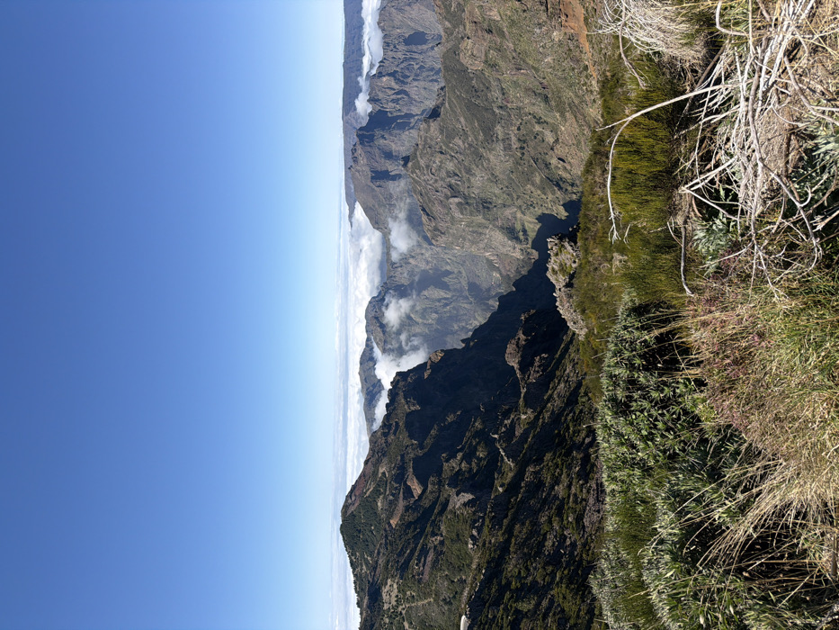 The scene depicts a vast mountainous landscape under a clear, bright blue sky, located within the municipality of Santana, Portugal. A distinct layer of white clouds rests below the horizon line, partially concealing the lower sections of distant mountains and filling portions of the valleys. The midground and background are dominated by rugged, steep mountains with visible exposed rock formations and sparse dark green vegetation. Deep shadows are present in the valleys, indicating a high sun angle. The immediate foreground features a dense array of low-growing, wild vegetation, including various green bushes, grasses, and some dry, light-colored branches. No human subjects, man-made structures, or observed actions are present in the image.