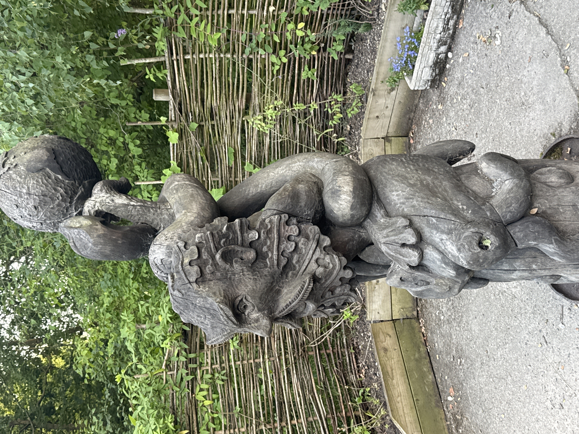 A dark wooden sculpture of a mythological creature with a human-like face and beard is positioned outdoors. The creature appears to be coiled around a sphere and is supported by other carved elements at its base. The sculpture is set against a backdrop of lush green foliage and a woven wooden fence. In the foreground, there is a paved area with scattered leaves and a stone planter filled with small blue flowers. The overall setting suggests an outdoor garden or park area. The specific location in the city of Gravesham, United Kingdom, is not identifiable from the visual information provided in the image.