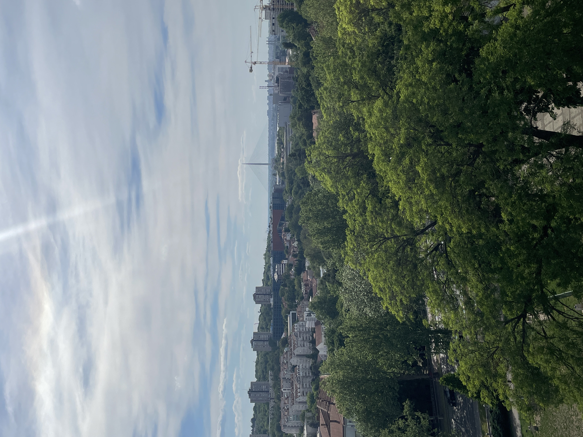 The image shows a view over the city of Belgrade, Serbia, likely from the Vracar Urban Municipality. The foreground consists of dense green trees on the right side of the frame. Behind the trees, there is a view of buildings and houses. In the distance, a cable-stayed bridge is visible, and construction cranes suggest ongoing development. The sky is filled with light blue and white clouds. No people are visible in the image.