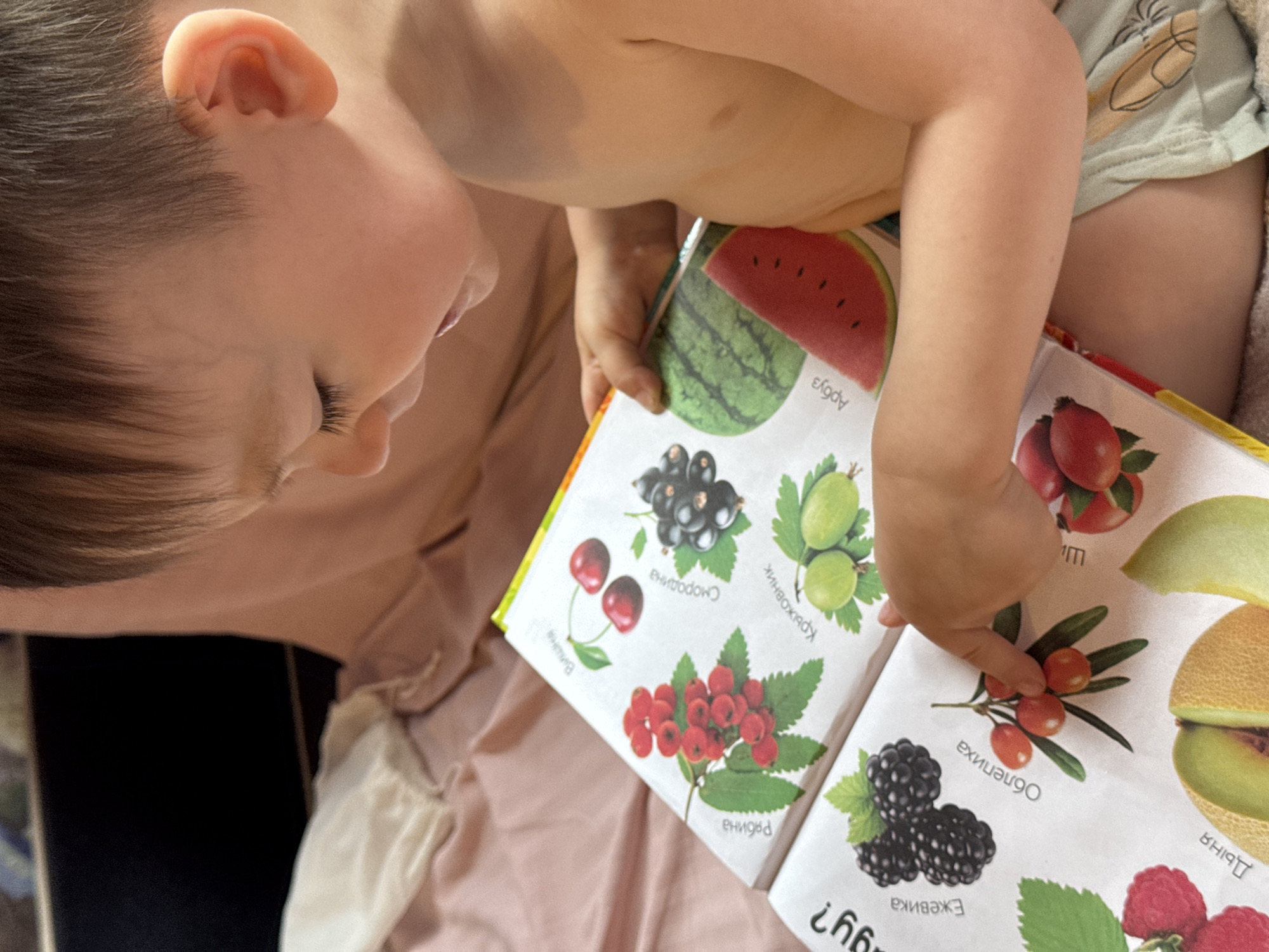 A child is sitting down, wearing a light-colored patterned shirt, and looking at an open book. The book has pictures of various fruits and berries with words written in Cyrillic script. The fruits and berries shown include watermelon (арбуз), black currant (смородина), gooseberry (крыжовник), cherries (вишня), red currant (рябина), sea buckthorn (облепиха), blackberry (ежевика), melon (дыня), and raspberries (малина). The child's finger is pointing at the sea buckthorn picture. The child is fair-skinned with brown hair. The setting is likely indoors. The image does not contain evidence to determine a location in Sochi, Russia.
