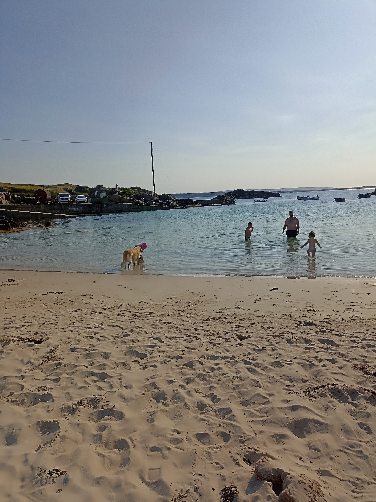 The image depicts a sun-drenched beach scene in Carnboy, Ireland. In the foreground, the sandy beach is textured with ripples and scattered seaweed. The shallow, clear water of the sea extends towards the horizon, where a faint, hazy sky meets the water.
In the middle ground, a golden-colored dog stands in the water, facing away from the viewer and appearing to interact with something unseen. Further out in the water, a man and two children are present. The man, who is larger in build, stands in the water, while the two children are positioned closer to the shore, one to the left of the man and the other to his right.
The background features a rocky shoreline with a concrete structure and a few parked vehicles, including two white vans and a green utility vehicle. A solitary lamppost with wires stretches across the scene. Several small boats are visible in the distance, anchored or moored in the bay. The overall impression is one of a peaceful, recreational day at the seaside.