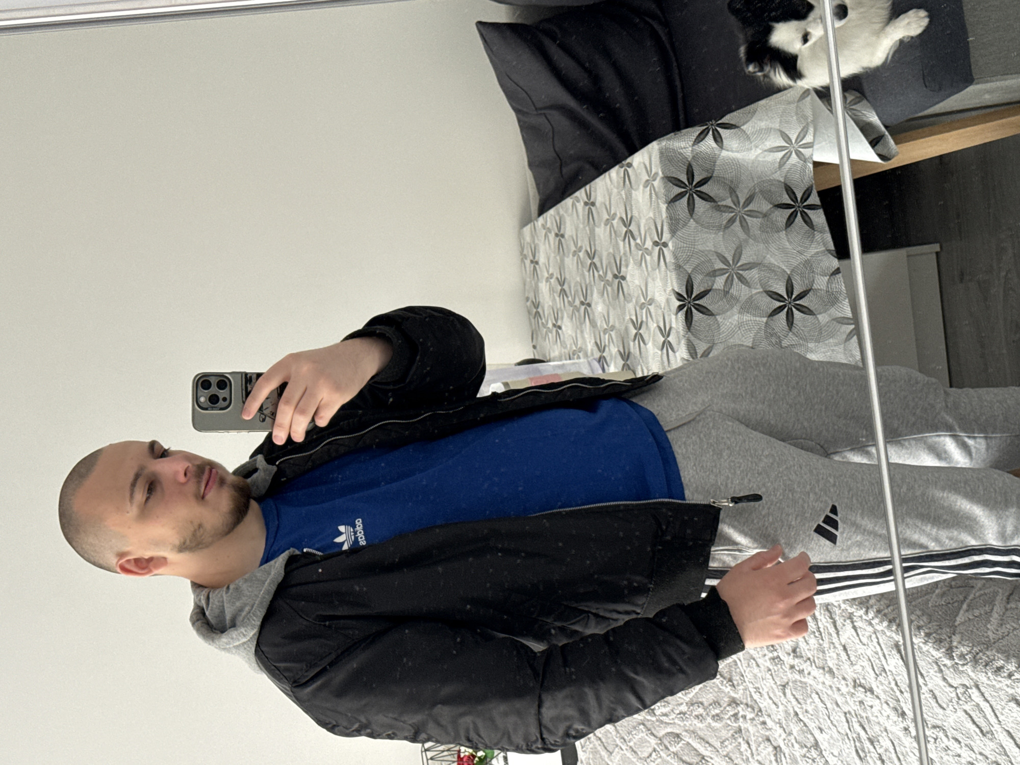 A person takes a selfie in a mirror, wearing a blue Adidas shirt, grey sweatpants with three stripes, and a black bomber jacket with a grey hood. The location is possibly an apartment in Stara Zagora, Bulgaria, as the person is likely a local. A bed with a black and patterned throw is partially visible, and a black and white cat is lying on a wooden frame in the background. The person is holding a smartphone in their right hand and looking at the screen.