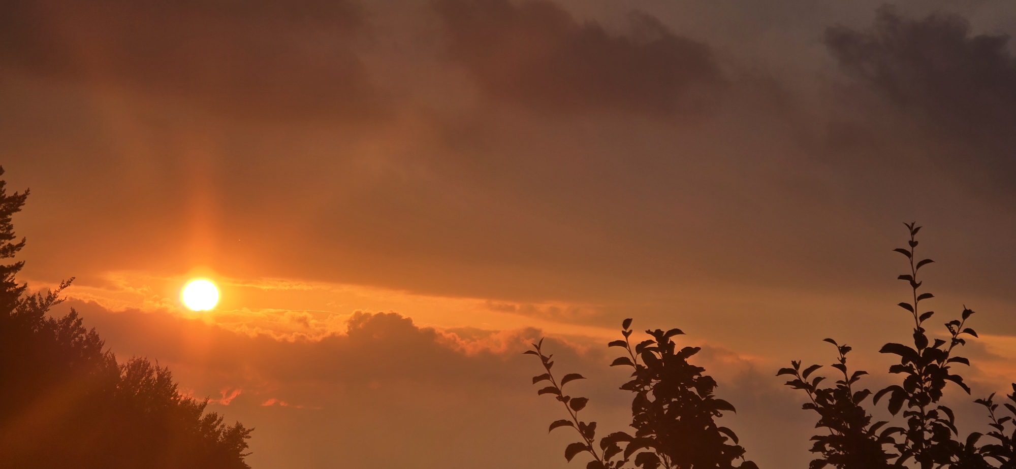 The image depicts a sunset over Marchaevo, Bulgaria. The sun is a bright, glowing orb low on the horizon, casting a warm, orange hue across the sky. Wispy clouds are scattered throughout the sky, some illuminated by the setting sun, while others are darker and more ominous. In the foreground, the silhouettes of trees and branches are visible against the vibrant sky, their dark forms creating a stark contrast with the bright oranges and reds of the sunset. The overall scene is one of natural beauty and tranquility, with the vibrant colors of the sunset dominating the frame.
