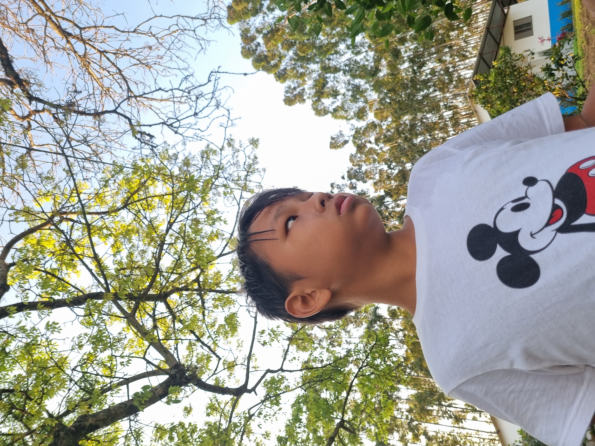 A young boy with dark hair and brown eyes is captured in a close-up, waist-up shot. He is looking to his right with a neutral expression. He is wearing a white t-shirt featuring a graphic of Mickey Mouse. The background consists of a lush green forest with tall trees, and a white and blue building is visible behind the boy on the right side of the frame. The sky is clear and blue. The scene appears to be outdoors, likely in a rural or suburban area. Laranjal Paulista, Brazil.