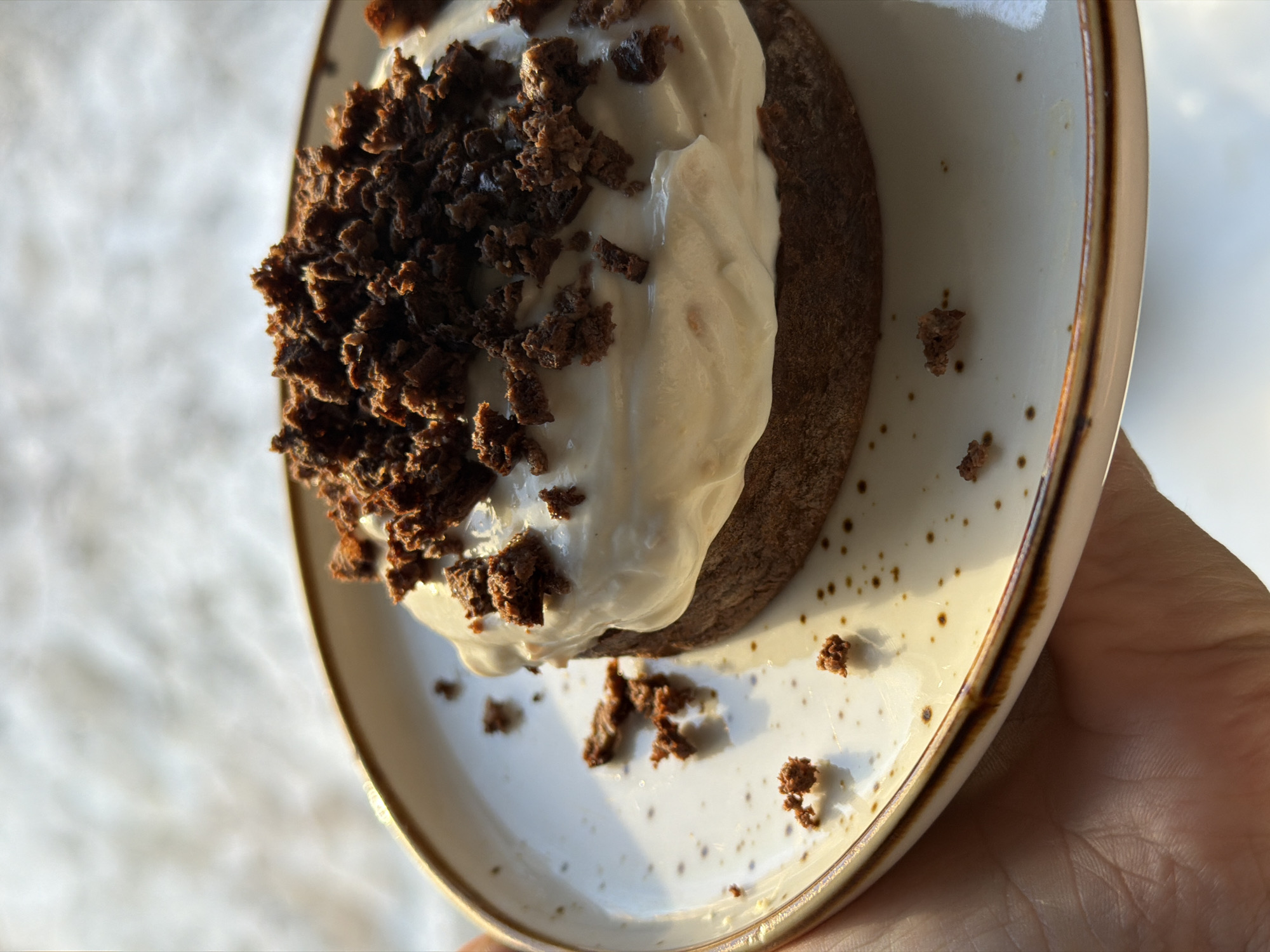 A hand, likely a left hand, holds a round, off-white ceramic plate featuring a single dessert. The plate's rim has a distressed brown band, and its surface is speckled with irregular brown dots. The dessert consists of a dense, circular, dark brown base topped with a thick layer of off-white cream or frosting. Scattered densely over the cream are numerous small, irregular dark brown crumbs, with several crumbs also resting on the plate surface. The scene is illuminated by natural light, creating highlights on the dessert and plate. The background is out-of-focus and appears as a bright, light-toned surface. The image contains no visual information to identify a specific city or geographical location, including Perm, Russia.