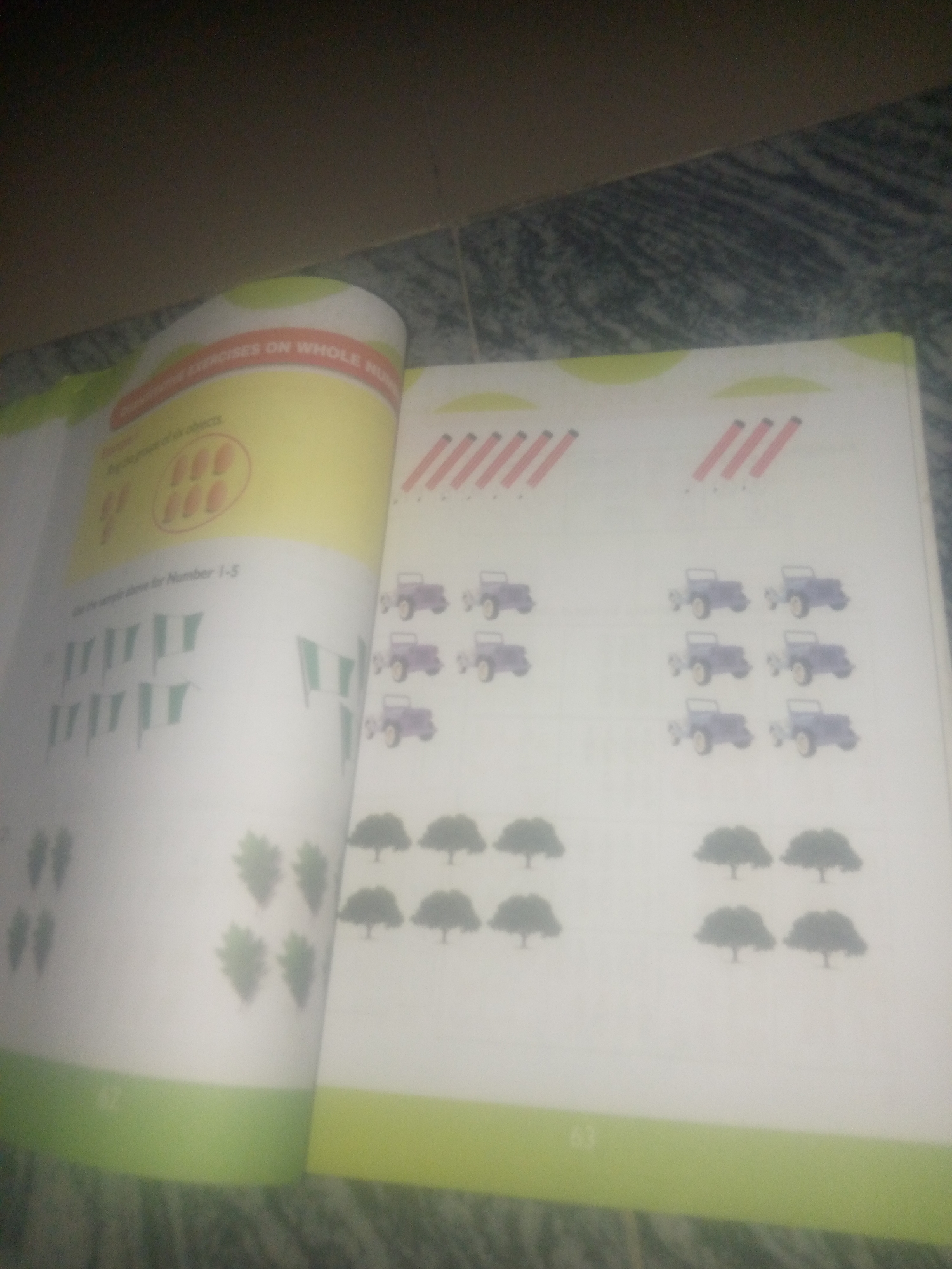 The image shows an open book with pages displaying educational content, likely for young children. The left page has a yellow section at the top with text that reads "EXERCISES ON WHOLE NUMBERS". Below this, there's a smaller heading "Think" and then text that is difficult to read but appears to refer to "six objects". An illustration of six oval-shaped objects, possibly fruit, arranged in two rows of three is present within a red circle. Further down the left page, there are illustrations of green flags or banners arranged in columns. The right page features rows of small purple car illustrations, with three rows of three cars on the right side and two rows of three cars on the left side of the page. Below the cars, there are illustrations of trees arranged in rows. The bottom of the pages has a light green border with page numbers visible, "62" on the left and "63" on the right. The overall setting appears to be an indoor environment, with a textured surface visible in the background which could be flooring or a table. There is no discernible information about the city of Jauro Yinu, Nigeria, or any specific environmental or contextual details related to that location.