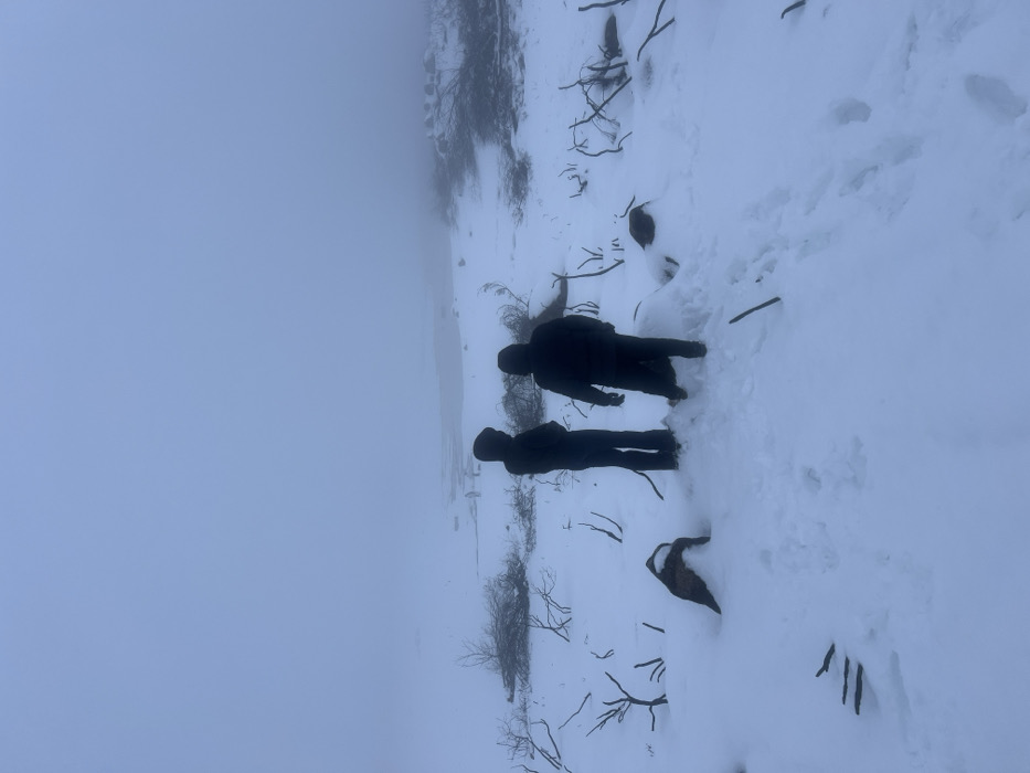Two figures, silhouetted against a dense fog, stand in a snow-covered landscape. The ground is littered with branches and sparse vegetation, dusted with snow. Footprints suggest a path already taken through the terrain. The heavy fog obscures the distance, creating a sense of isolation.