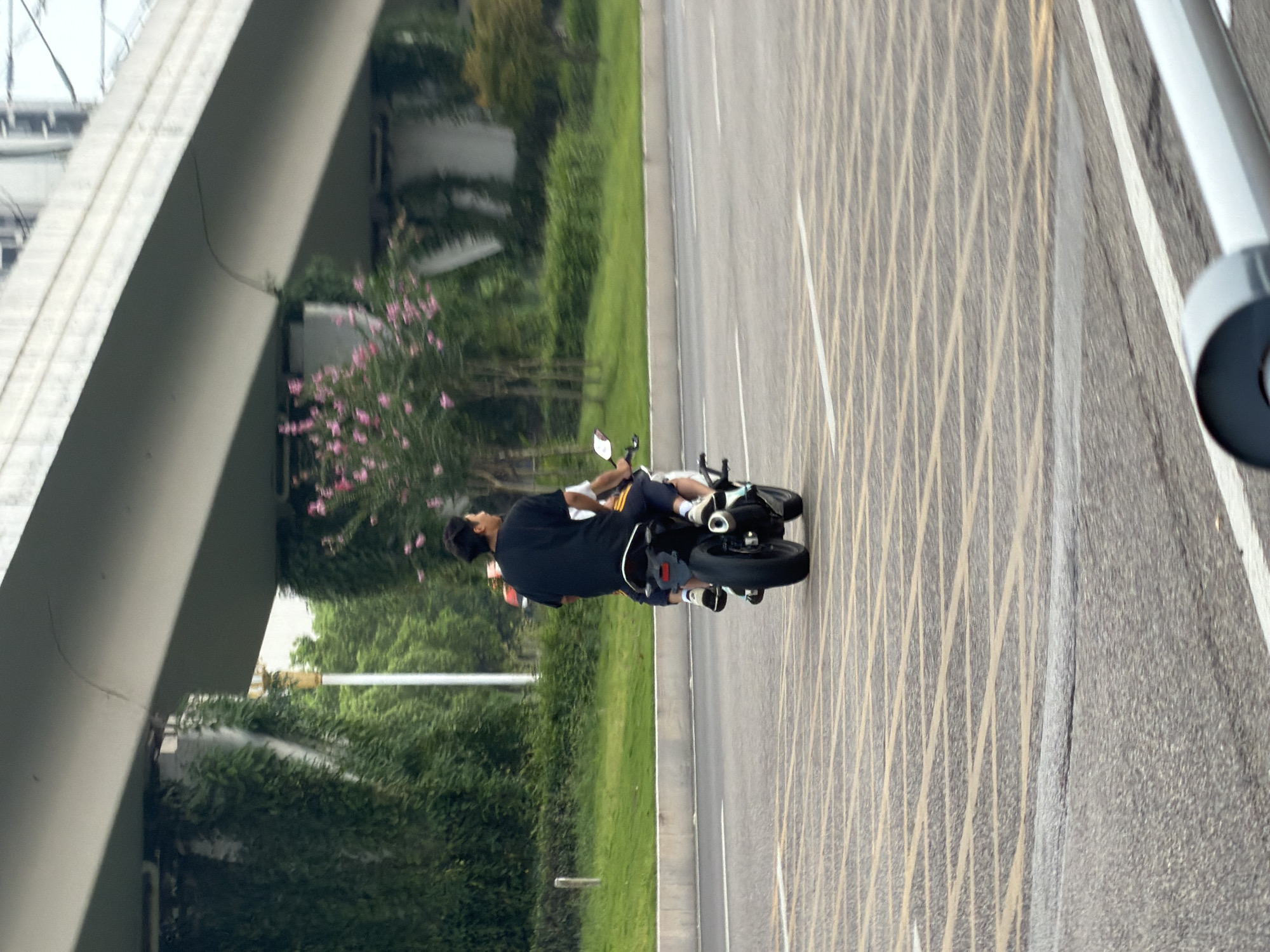 Two individuals are riding on a motorcycle on a multi-lane road in Jiangjin, China. The driver, a male wearing a black t-shirt and dark pants, is in the front. A passenger, also appearing to be male and wearing a white t-shirt and light-colored shorts, is seated behind the driver. The motorcycle is black and has a visible rear tire and exhaust. The road has yellow and white line markings. In the background, a concrete overpass or bridge supported by pillars covered in green vegetation is visible. Pink flowering trees are also present, along with green grass and other trees. The lighting suggests it is daytime.