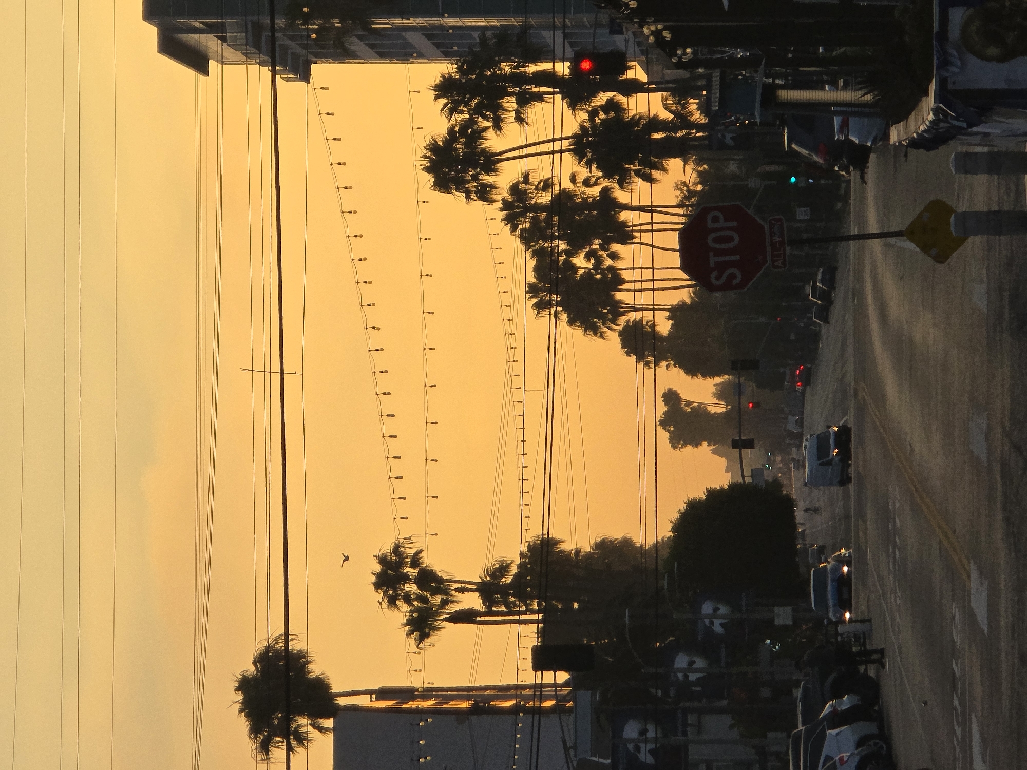 The image depicts a street scene in Los Angeles, California, at dusk. The sky is a vibrant orange, indicative of a sunset, with palm trees silhouetted against it. Several power lines crisscross the sky, and a string of decorative lights hangs overhead. A stop sign is prominently displayed in the foreground, with cars visible on the street. Buildings, including a modern, multi-story structure, line the sides of the road. A single bird is captured in flight against the colorful sky. The overall atmosphere is serene, characteristic of a Southern California evening.