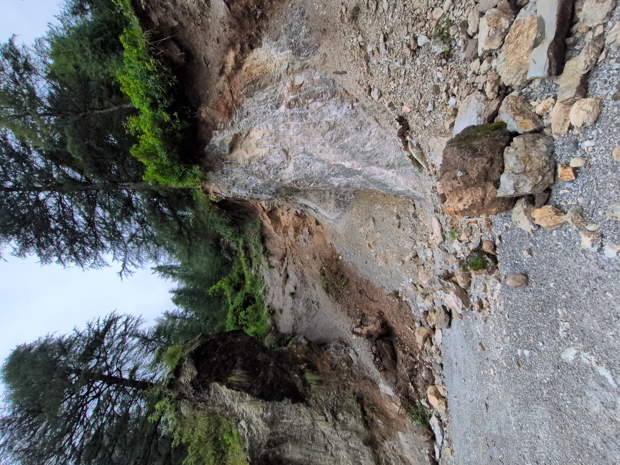 A landslide has occurred on a steep, rocky hillside covered with trees and vegetation in Dharamkot, India. The landslide debris consists of loose soil, rocks, and gravel that have cascaded down the slope. Large boulders are scattered across the foreground, some of which are partially covered in moss. A significant section of the hillside has been eroded, revealing layers of rock and earth. The upper part of the image shows a dense forest with tall trees. The sky is overcast. There are no people or animals visible in the image.