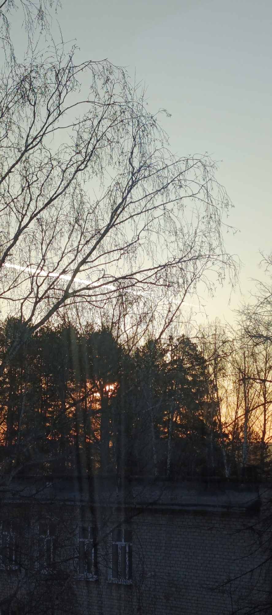 The image depicts a view from a building in Chaikovsky, Russia, overlooking a forest at sunset. The foreground features bare tree branches silhouetted against the sky. Below the trees, the roof and upper windows of a brick building are visible. The sky is light, with shades of pale blue and yellow, indicating the time of day. Sunlight filters through the trees, creating rays of orange light. No people are visible.
