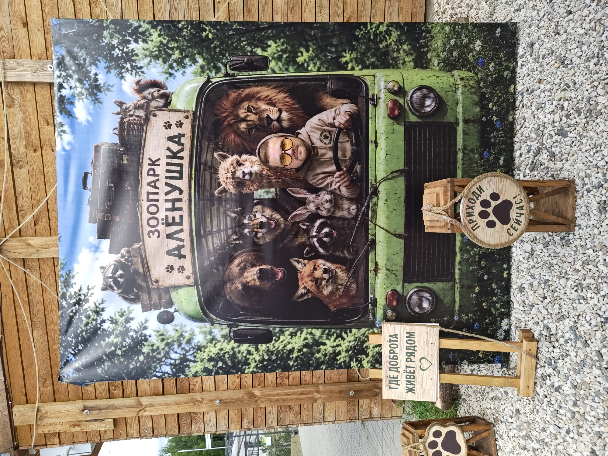 The image shows a photo opportunity backdrop at a zoo. The backdrop features a green truck filled with various animals, including a bear, a wolf, a llama, a lion, a fox, a raccoon, and a rabbit. A man wearing a hoodie and sunglasses is positioned in the driver's seat of the truck, appearing to be part of the photo. In front of the backdrop, there are wooden signs with animal paw prints and Russian text, indicating directions or invitations. The scene is set against a wooden plank wall and a gravel ground. The zoo is identified as "ZOO PARK ALYONUSHKA" in Dorishchi, Russia.