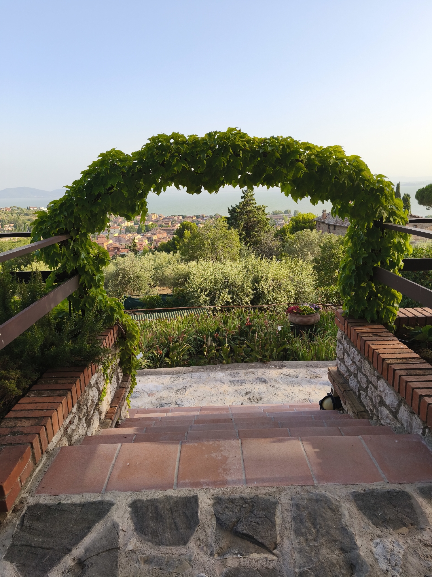 A view from a stone and brick staircase looking through an archway of green ivy. The staircase is made of large rough-hewn stones at the bottom, transitioning to terracotta tiles. On either side of the staircase are brick walls. The archway frames a distant view of the town of Passignano sul Trasimeno, Italy, with its terracotta-roofed buildings clustered on a hillside overlooking a body of water. Lush green trees and gardens are visible in the foreground and mid-ground. The sky is clear and pale blue, suggesting a bright, sunny day. There are no people visible in the image.