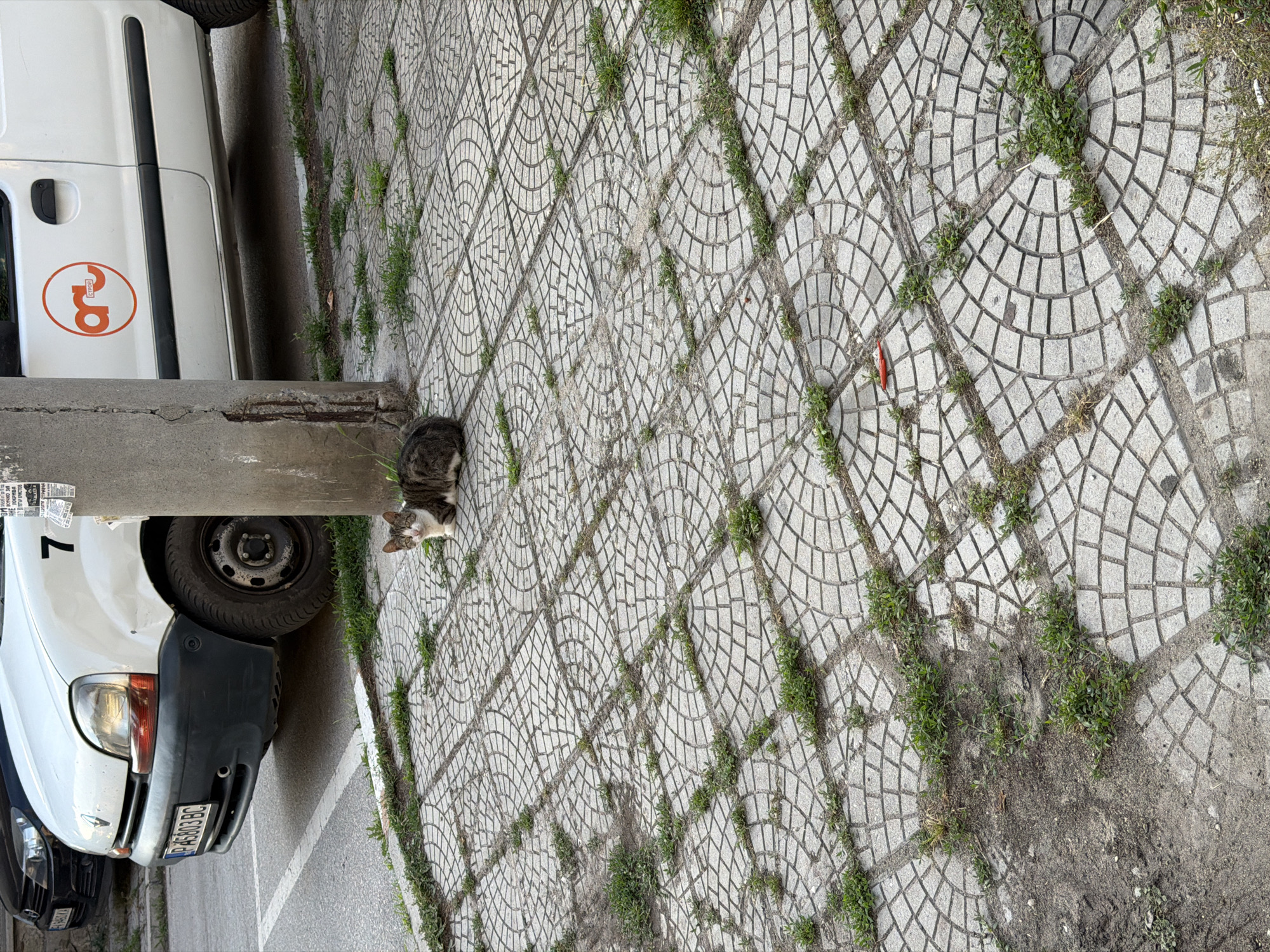 A tabby and white cat is resting on a patterned sidewalk next to a concrete pole. Behind the cat, a white van with an orange circular logo on its side is parked on a street. A portion of a black car is visible to the left of the van. The sidewalk is cracked in places, with grass growing through the gaps between the paving stones. The background suggests an urban environment, likely in Pazardzhik, Bulgaria, given the license plate on the van which reads "PB 5803 BC".