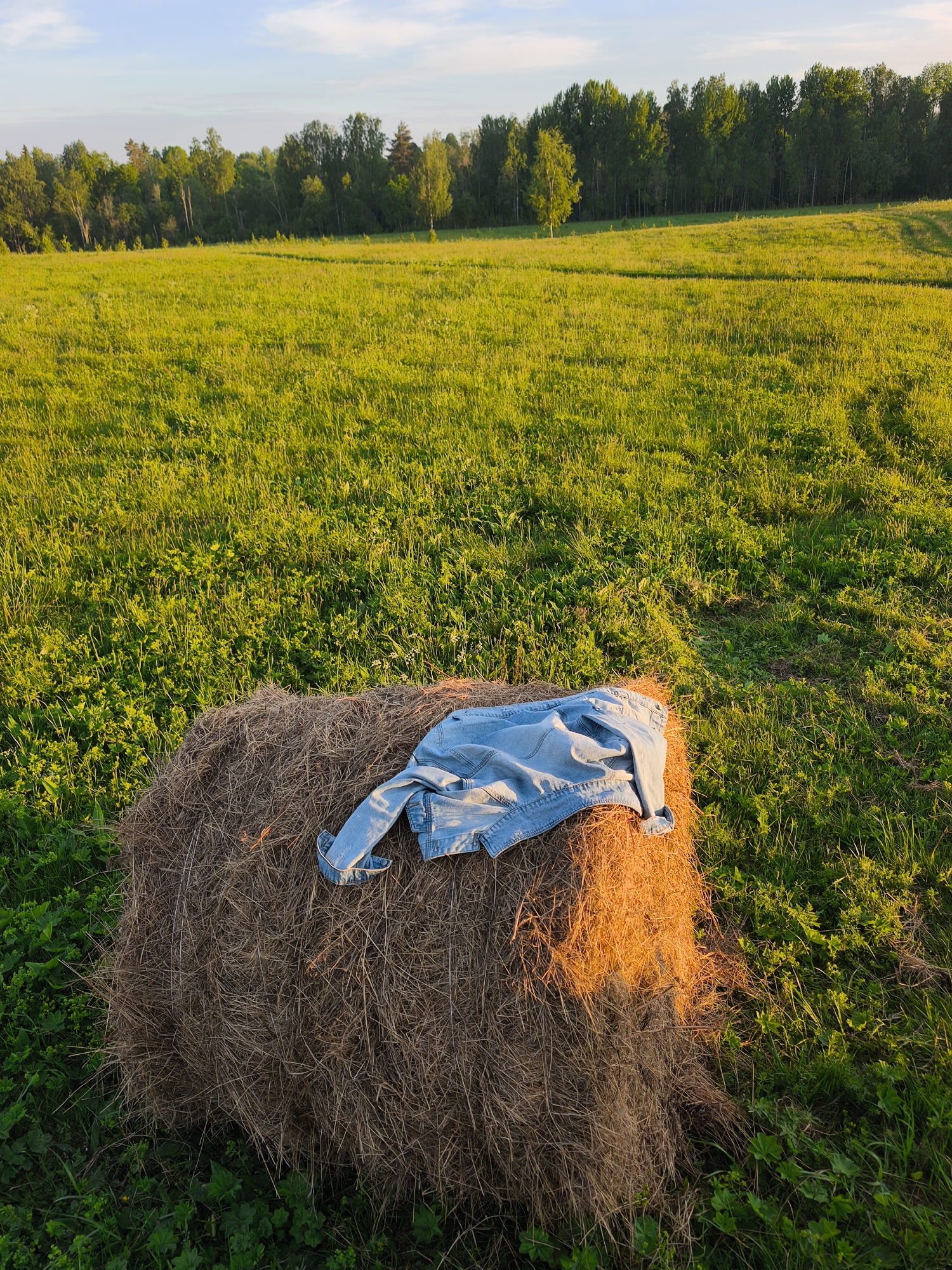 The image depicts a serene rural landscape captured during the golden hour, likely late afternoon or early evening. In the foreground, a large, round bale of hay sits prominently, illuminated by warm, golden sunlight on its upper and right surfaces, highlighting its dry, textured strands. A light blue denim jacket is casually draped over the top of the hay bale.
The hay bale is surrounded by an expansive, vibrant green field of grass and various low-lying plants that stretch towards the horizon. The grass appears lush and verdant, indicative of a fertile meadow. In the background, a dense line of tall green trees forms a forest, marking the edge of the field and completing the natural setting. The sky above is a clear, light blue with a few faint clouds, suggesting fair weather conditions.
The overall scene conveys a sense of peaceful solitude and natural beauty. There are no people visible, and no specific activity is taking place, creating a quiet and calm atmosphere in the countryside, possibly near Стеклянный, Russia. The warm lighting emphasizes the textures and colors of the natural elements. No visible text is present in the image.