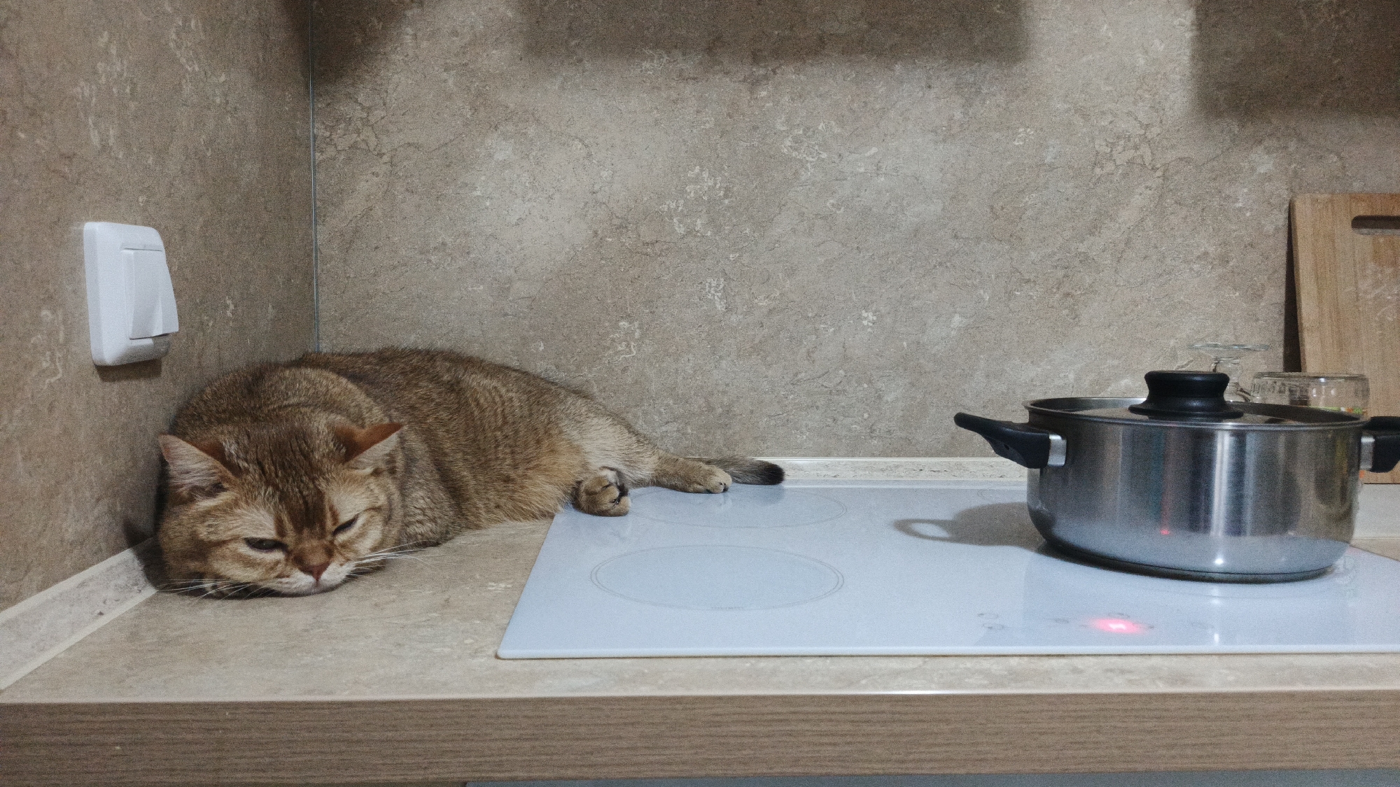 A ginger cat is sleeping on a kitchen countertop in Yekaterinburg, Russia. The cat is lying on its side, with its head resting on its paws. The kitchen countertop is made of light-colored laminate and there is a white electric stove top in front of the cat. A stainless steel pot with a black lid is on the stove top. There is a light switch on the wall behind the cat. The wall is tiled with a beige and brown marble-like pattern. The lighting in the room is artificial and appears to be coming from overhead. The overall impression is that of a domestic scene.