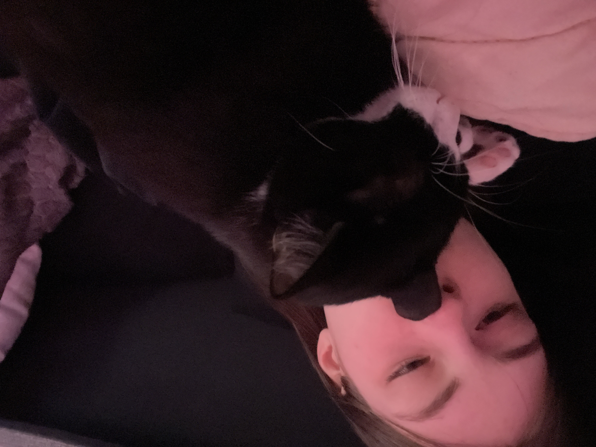 An intimate, close-up shot captures a person and a tuxedo cat engaged in an affectionate interaction, likely taken in Saint Petersburg, Russia. The image is composed with a tilted perspective, showing the cat positioned towards the top of the frame, pressing its face gently against the person's nose.
The cat is predominantly black with distinct white markings on its muzzle, chest, and front paws, revealing a classic tuxedo pattern. Its long white whiskers are prominent against the dark fur, and a hint of a pink nose and paw pads is visible. The person, appearing to be a young adult with light skin and brown hair, looks towards the camera with a relaxed and possibly amused expression. One eye is partially visible, and a small earring can be seen in their ear.
The setting appears to be indoors, possibly a bedroom or living room, characterized by very dim, soft pink lighting that casts a warm, cozy, yet slightly dark ambiance over the scene. The background is mostly dark, with subtle textures suggesting fabric or bedding on the left side. The overall mood conveys comfort, warmth, and a strong bond between the pet and its owner. No discernible text is visible in the image. The dim lighting suggests the photo was taken during the evening or night.