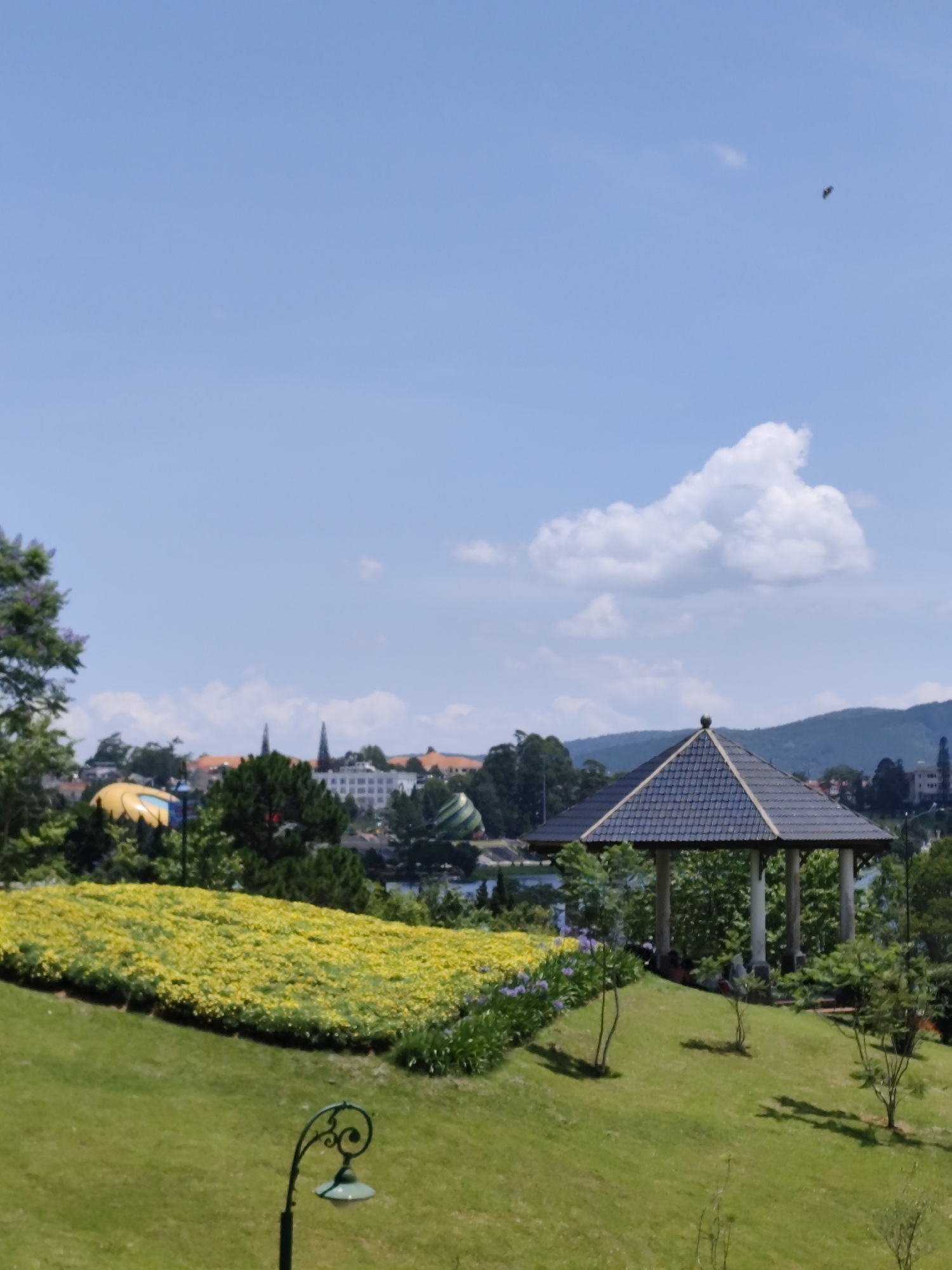 The vertical image captures a bright, sunny daytime view of a scenic park or garden overlooking a city and distant mountains in Da Lat, Vietnam. In the immediate foreground, a vibrant green grassy slope fills the bottom of the frame, featuring a decorative black and green garden lamp with an ornate, scrolled design on the left.
Mid-ground elements include a large, gently sloping bed of dense yellow flowers, likely marigolds, stretching across the center, interspersed with patches of purple flowers. To the right, a multi-columned gazebo with a dark, shingled roof stands prominently on a small rise, casting distinct shadows. Beyond the flower bed and gazebo, a cityscape is visible, characterized by various buildings and abundant trees. Notable features in the city view include a large yellow, dome-shaped structure and another green-and-white striped, inflated-looking object, suggesting tourist attractions. Faintly visible behind these structures appears to be a body of water, likely a lake, bordered by more distant buildings, including structures with spires.
The background features lush green mountains rising under a clear, expansive blue sky with scattered white cumulus clouds. A small, dark, flying object, possibly an insect or bird, is visible in the upper right quadrant of the sky. The overall scene conveys a peaceful and well-maintained environment, characteristic of a public park or viewpoint. There are no people or visible text in the image.