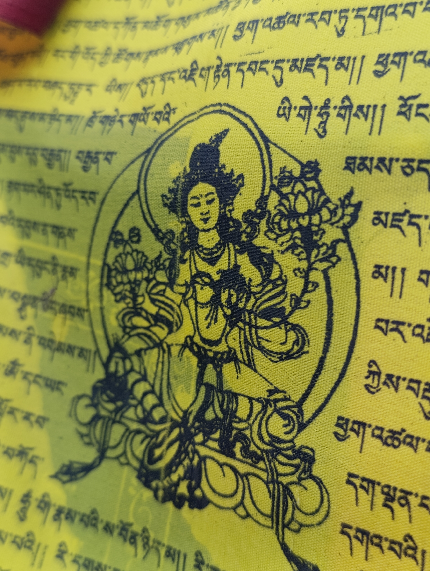 A close-up, high-angle shot shows Tibetan prayer flags with black text and an illustration on a yellow background in Kalath, India. The prayer flags are made of fabric and are printed with Tibetan script and a central image of a figure in a circular frame, surrounded by floral designs. The figure appears to be sitting with hands in a mudra and is adorned with jewelry and a headdress. The text is arranged in vertical lines on either side of the central illustration. The lighting is bright, casting subtle shadows that highlight the texture of the fabric. The overall scene depicts a cultural artifact, likely part of a larger display of prayer flags commonly found in Buddhist regions.