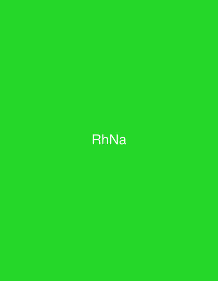The image displays a solid, uniform, vibrant green background. Centered within this field is the text "RhNa" rendered in white, sans-serif font. The letters 'R' and 'N' are capitalized, while 'h' and 'a' are lowercase. No discernible real-world scene, objects, individuals, actions, interactions, or environmental elements are depicted within this graphic composition. Consequently, there are no visual indicators to suggest a specific geographic location, including the city of Casablanca, Morocco, or any other real-world setting.