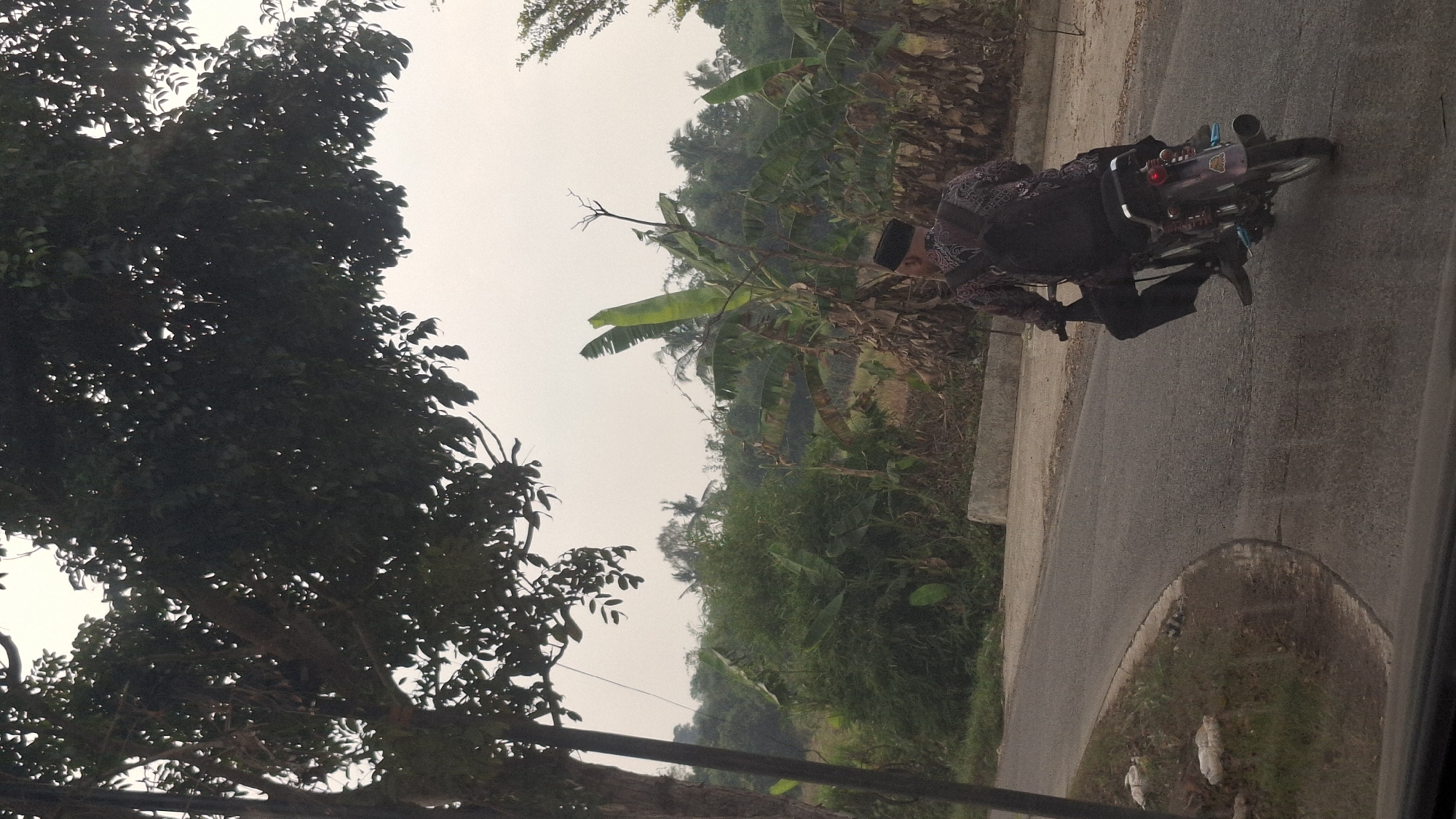 A person wearing a batik patterned shirt, black pants, and a black peci is riding a motorcycle down a paved road in Cibinong Hilir, Indonesia. The rider is facing away from the camera and has a black backpack on. The road curves to the left and is lined with grass and dirt on the left side, and a concrete barrier on the right side. Beyond the barrier, there is lush vegetation including banana trees and other tropical plants. Large trees with dark green leaves overhang the scene from the left. The sky is overcast. The scene appears to be a rural or semi-rural area.